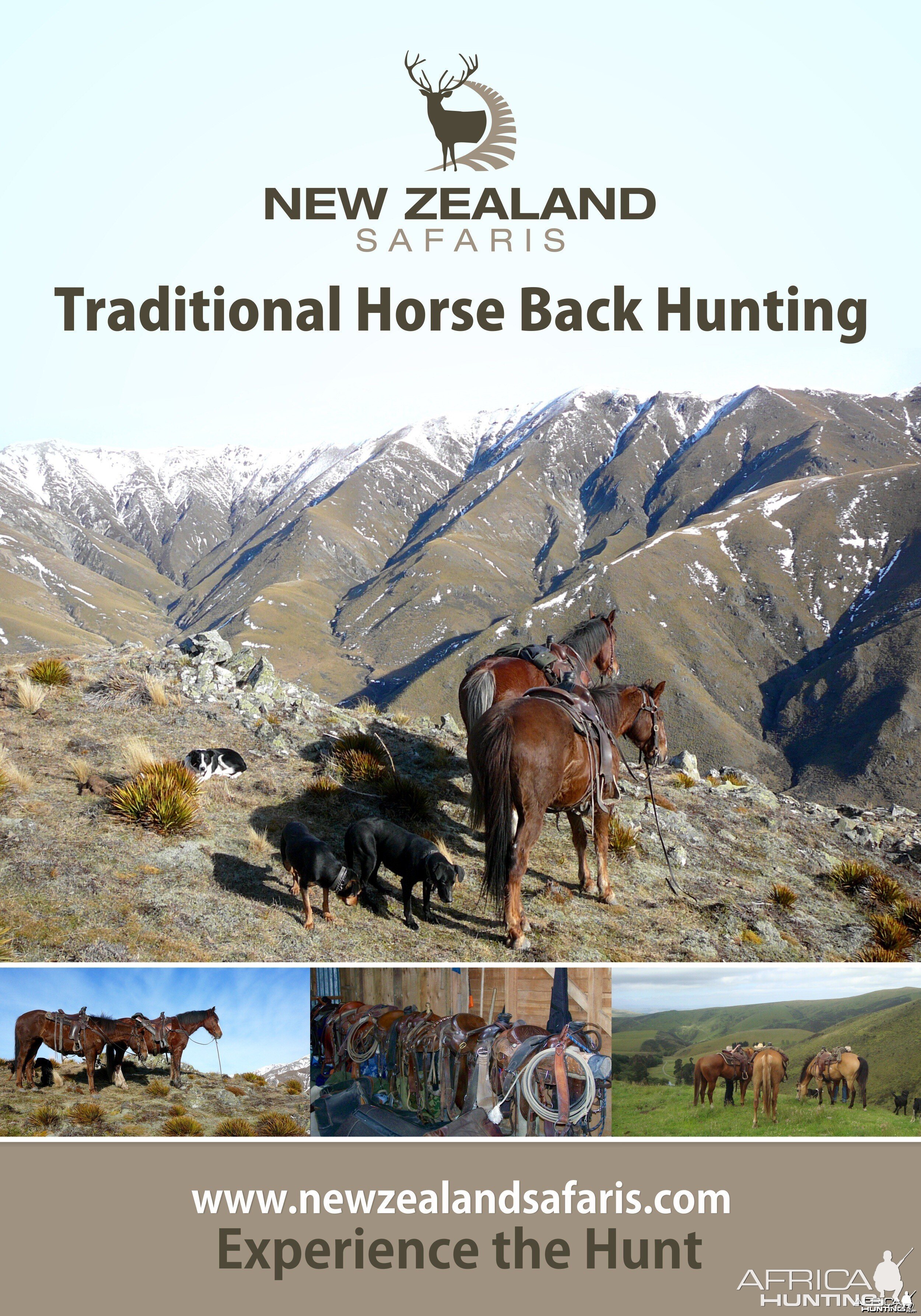 Horse back hunting New Zealand
