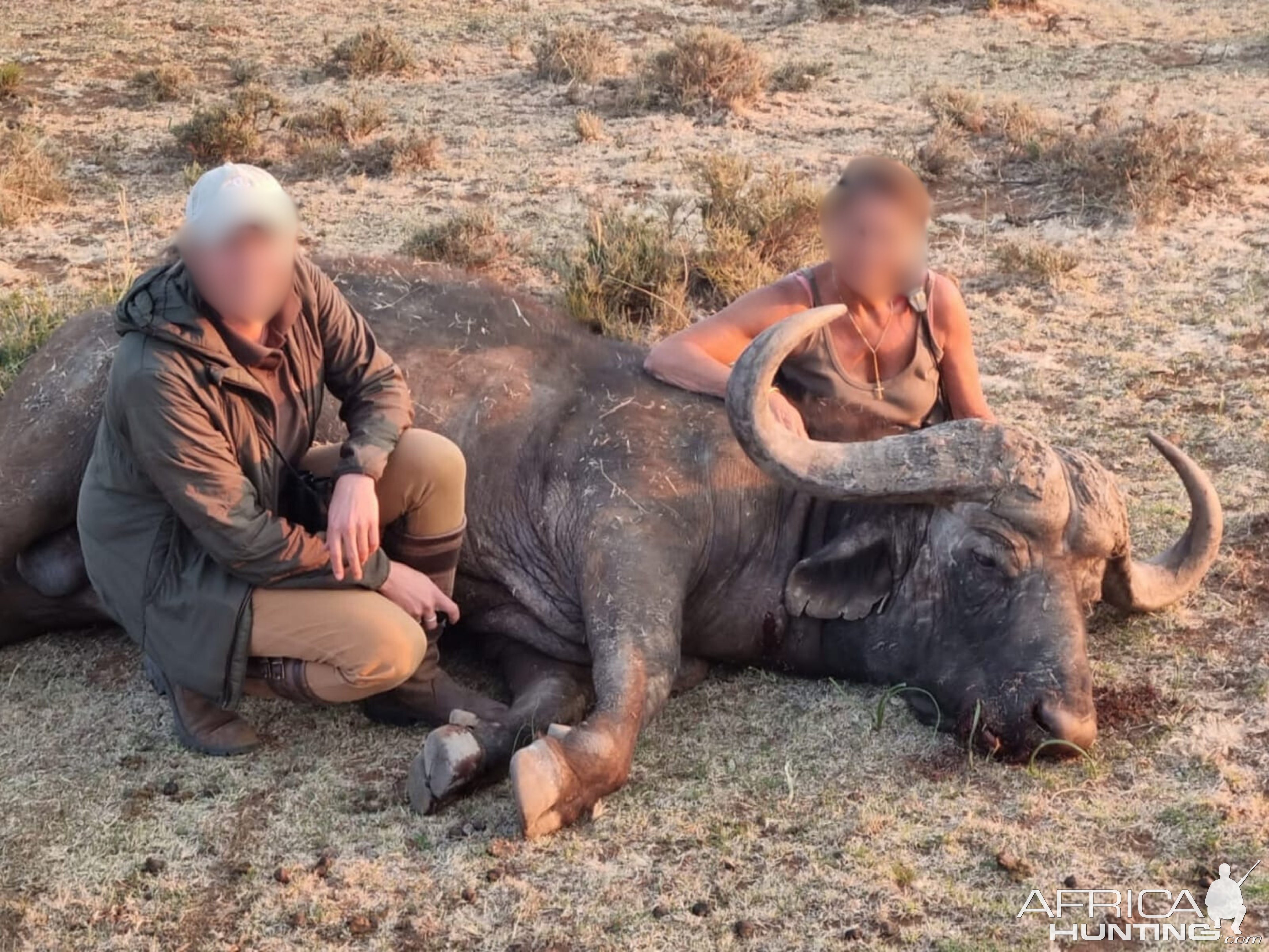 Horseback Buffalo Hunt