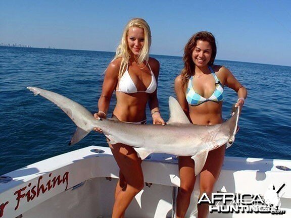 Gorgeous Girls of Fishing