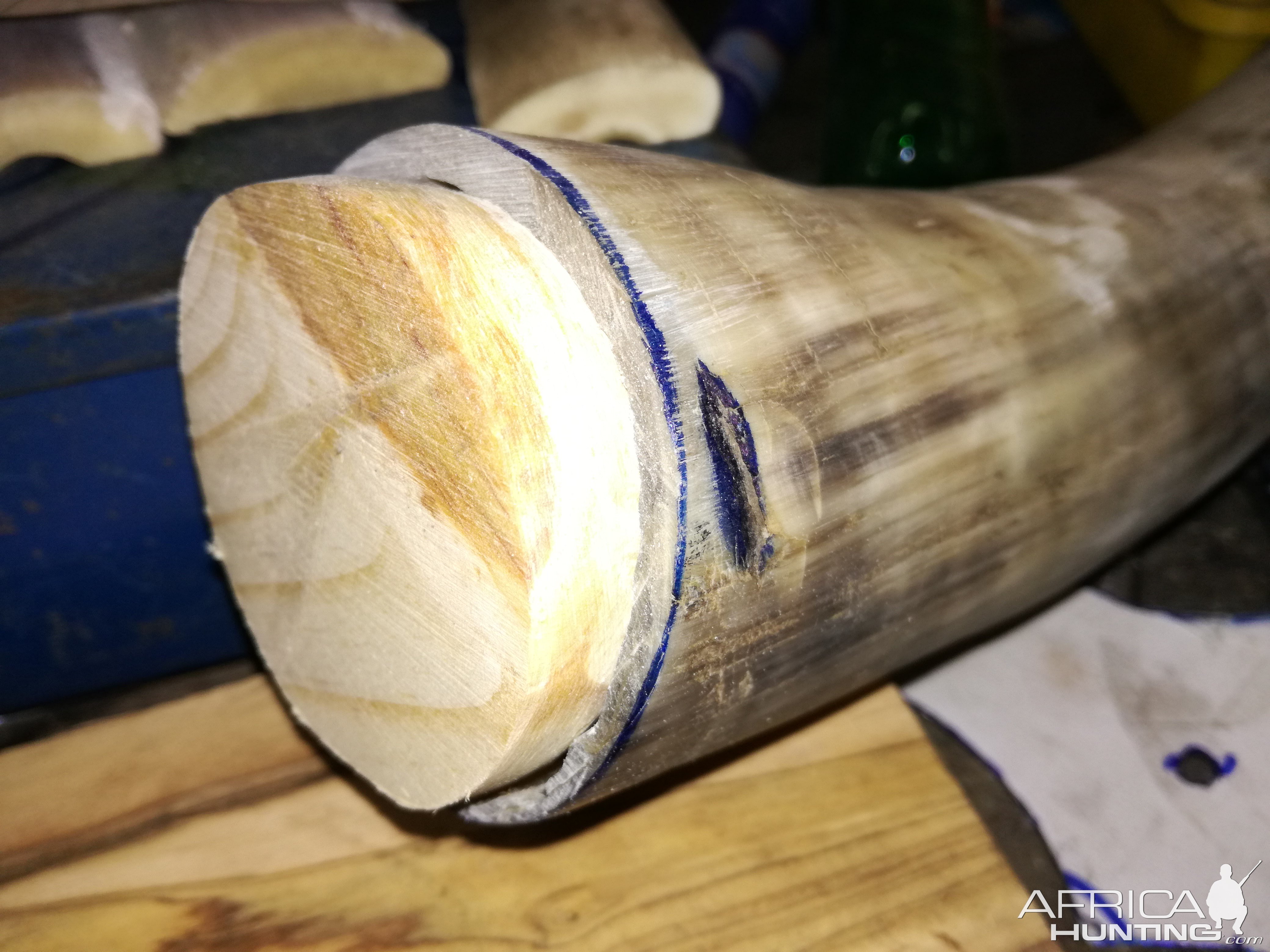 How I make a Powder horn for the 1884 Era Black Powder hunt