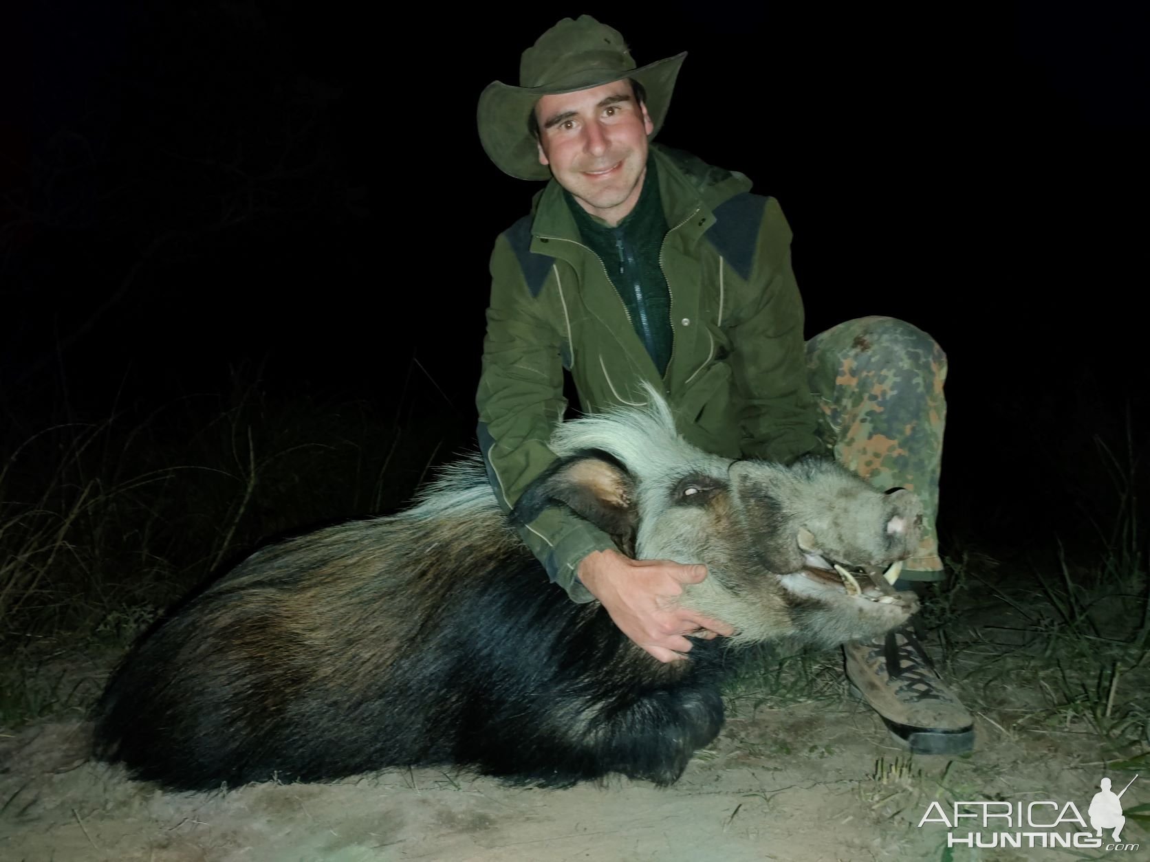 Huge Bushpig Boar