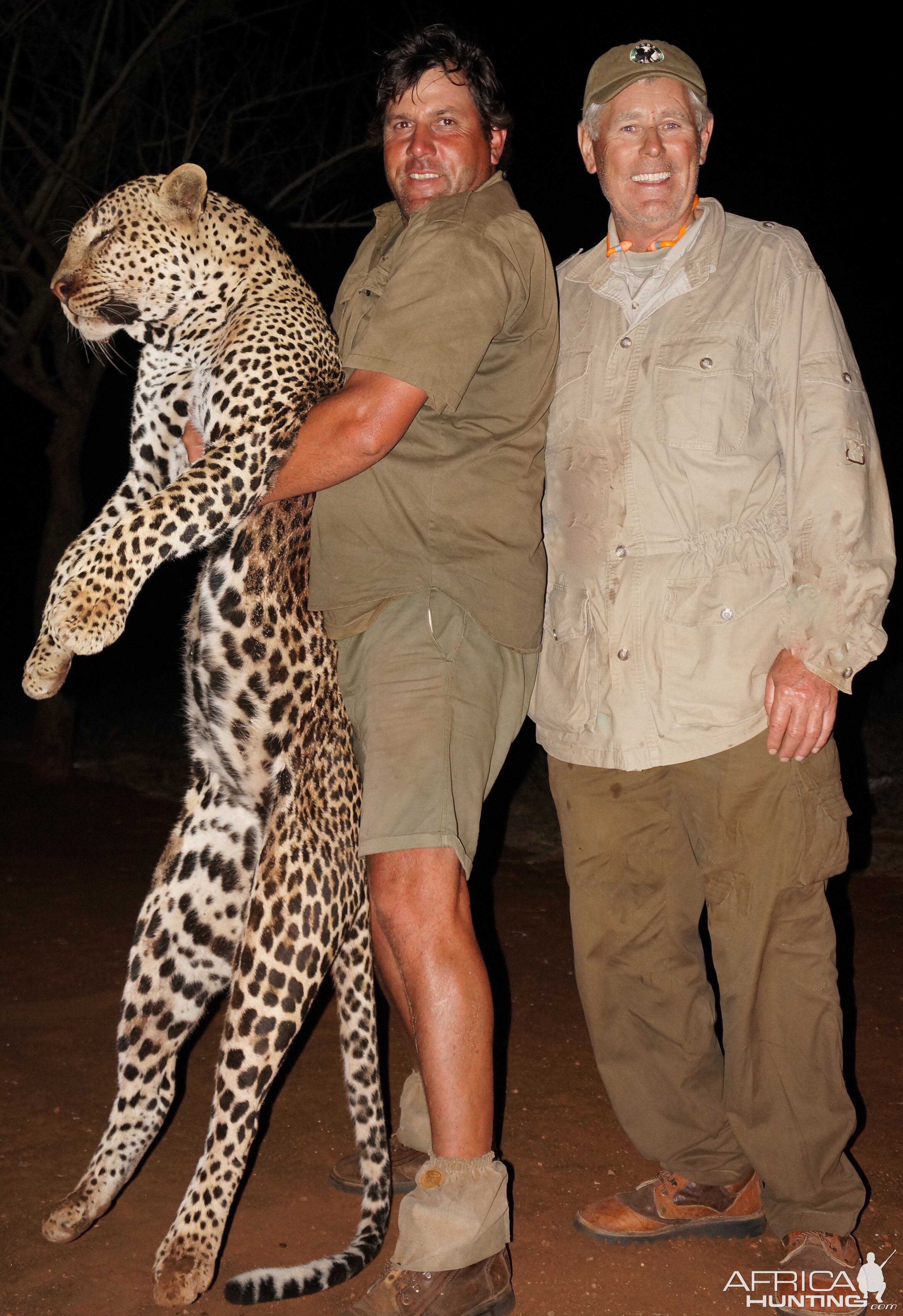 Huge Tom Cat Hunt Leopard