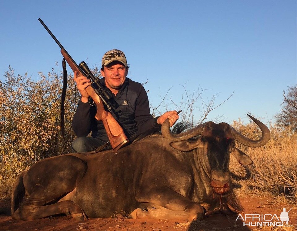 Hunt 29” Inch Blue Wildebeest in South Africa