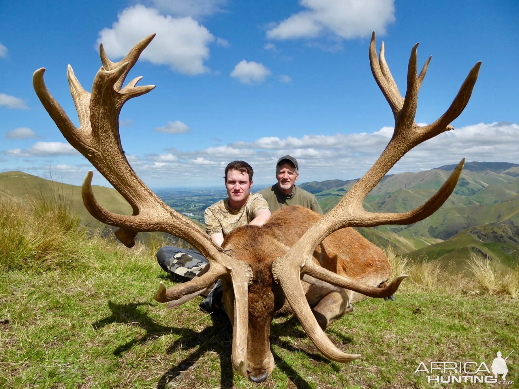 Hunt 367" Inch Red Stag in New Zealand