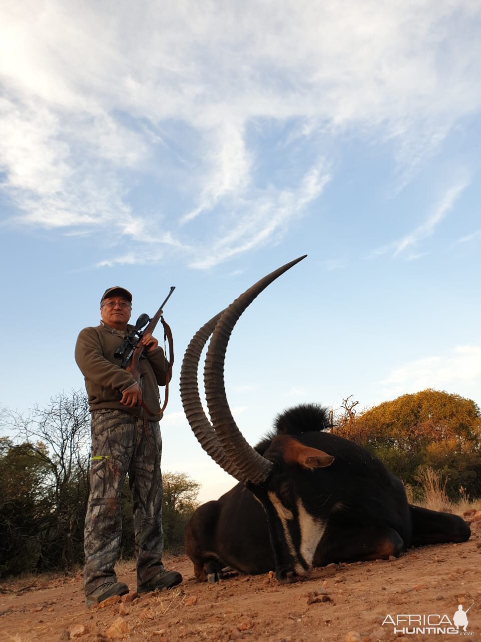 Hunt 42" Inch Sable Antelope in South Africa