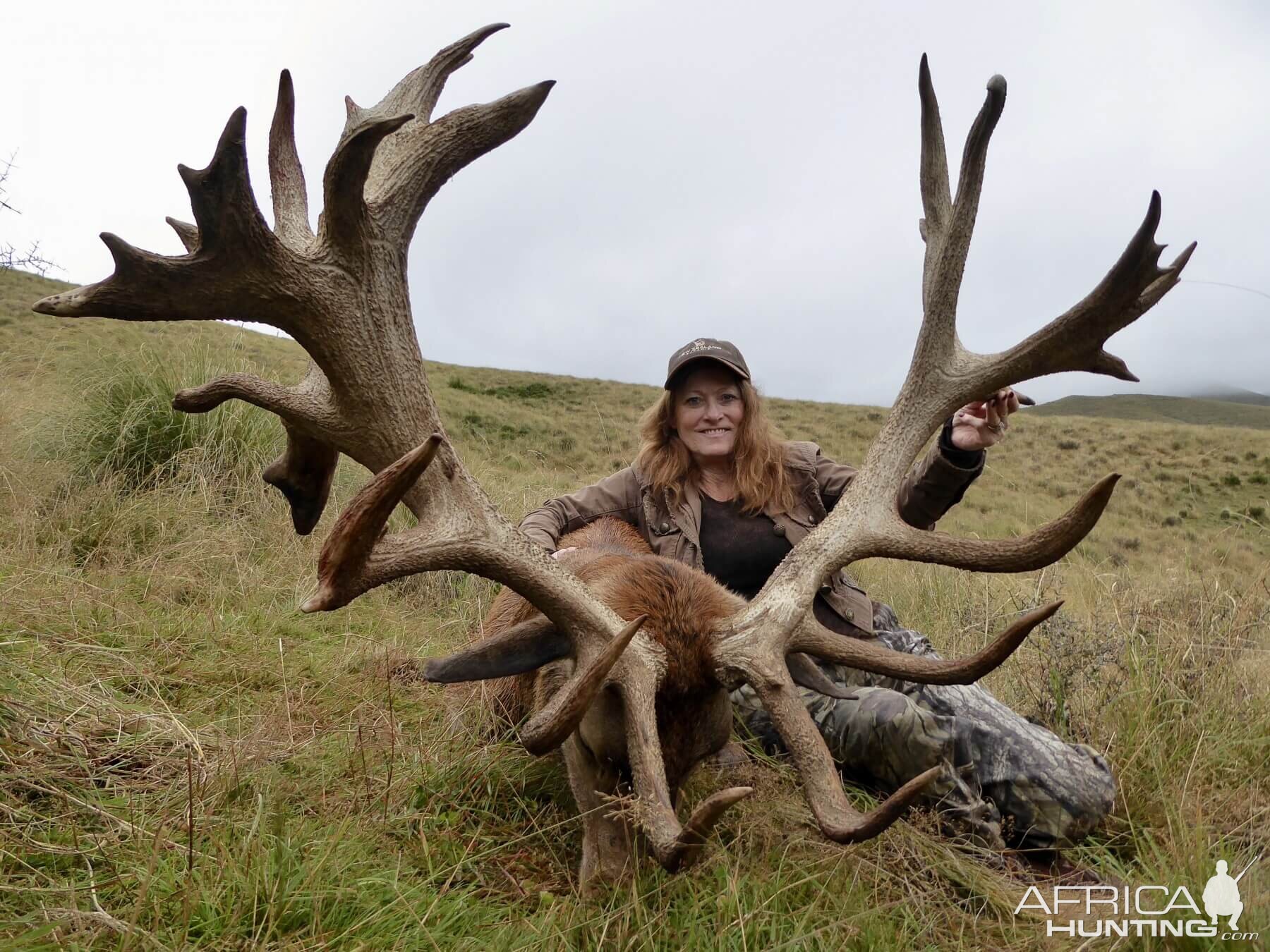 Hunt 423" Inch Red Stag in New Zealand