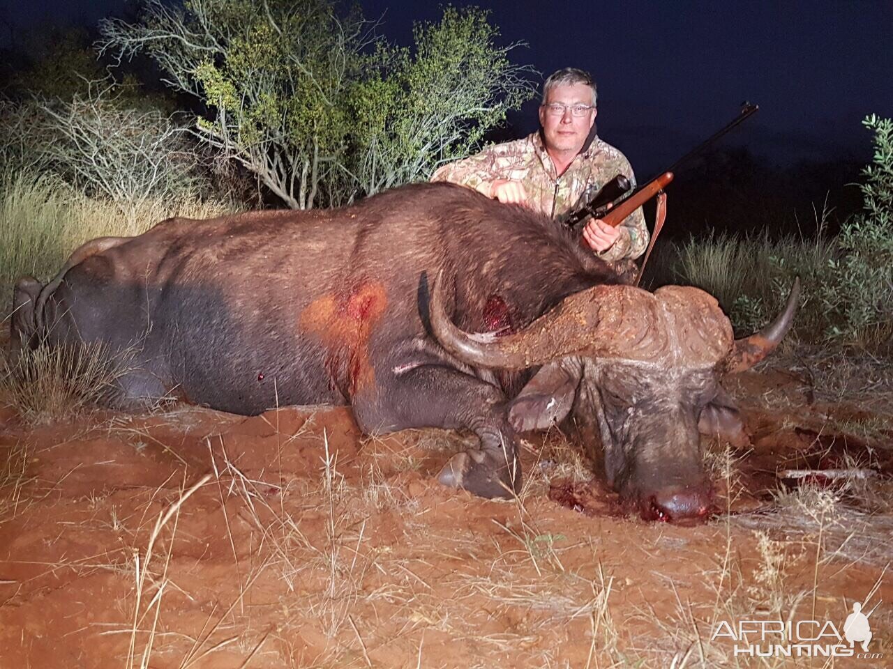 Hunt 43" Inch Cape Buffalo South Africa