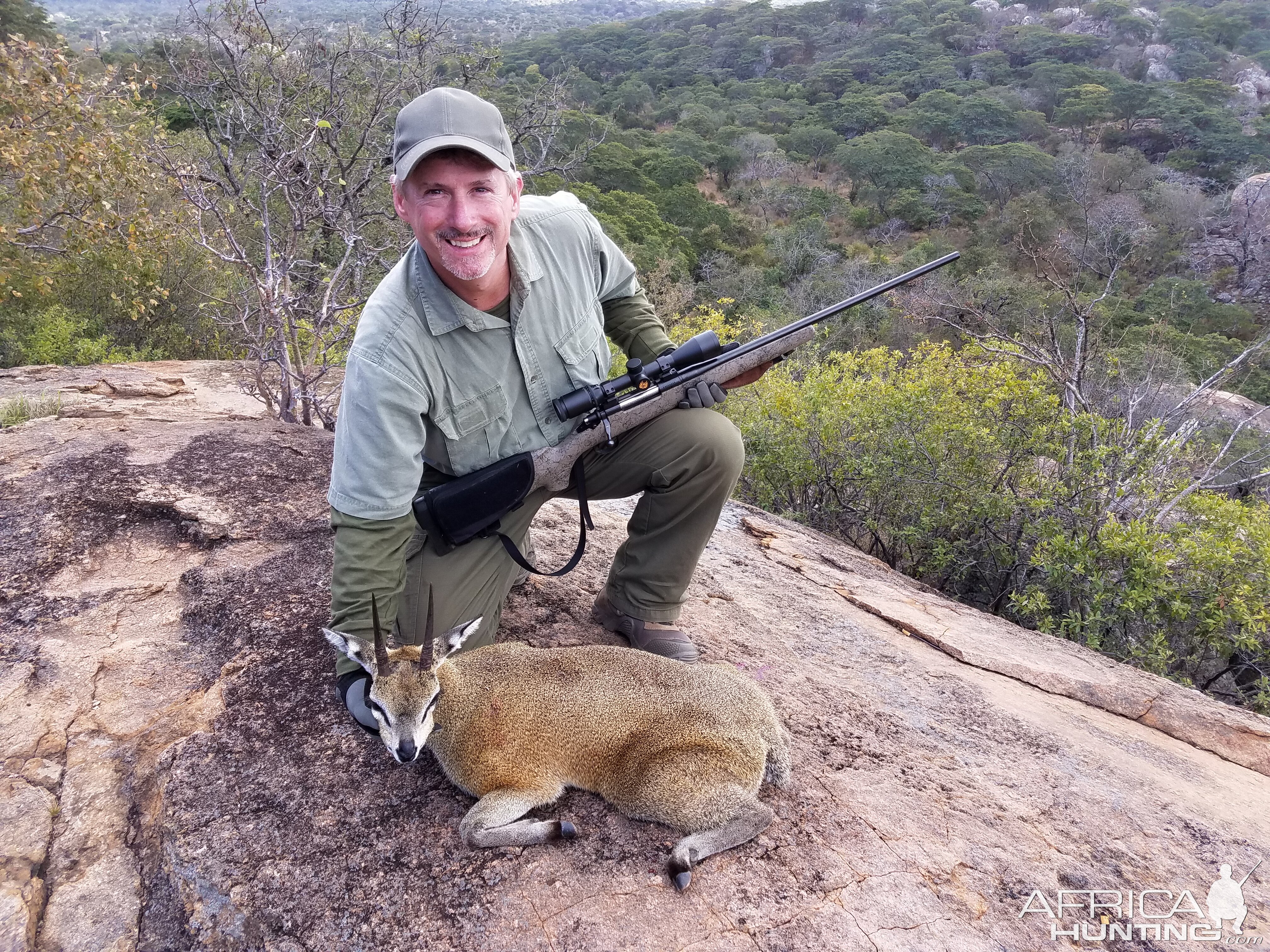 Hunt.6-1/4 Inch Klipspringer Zimbabwe