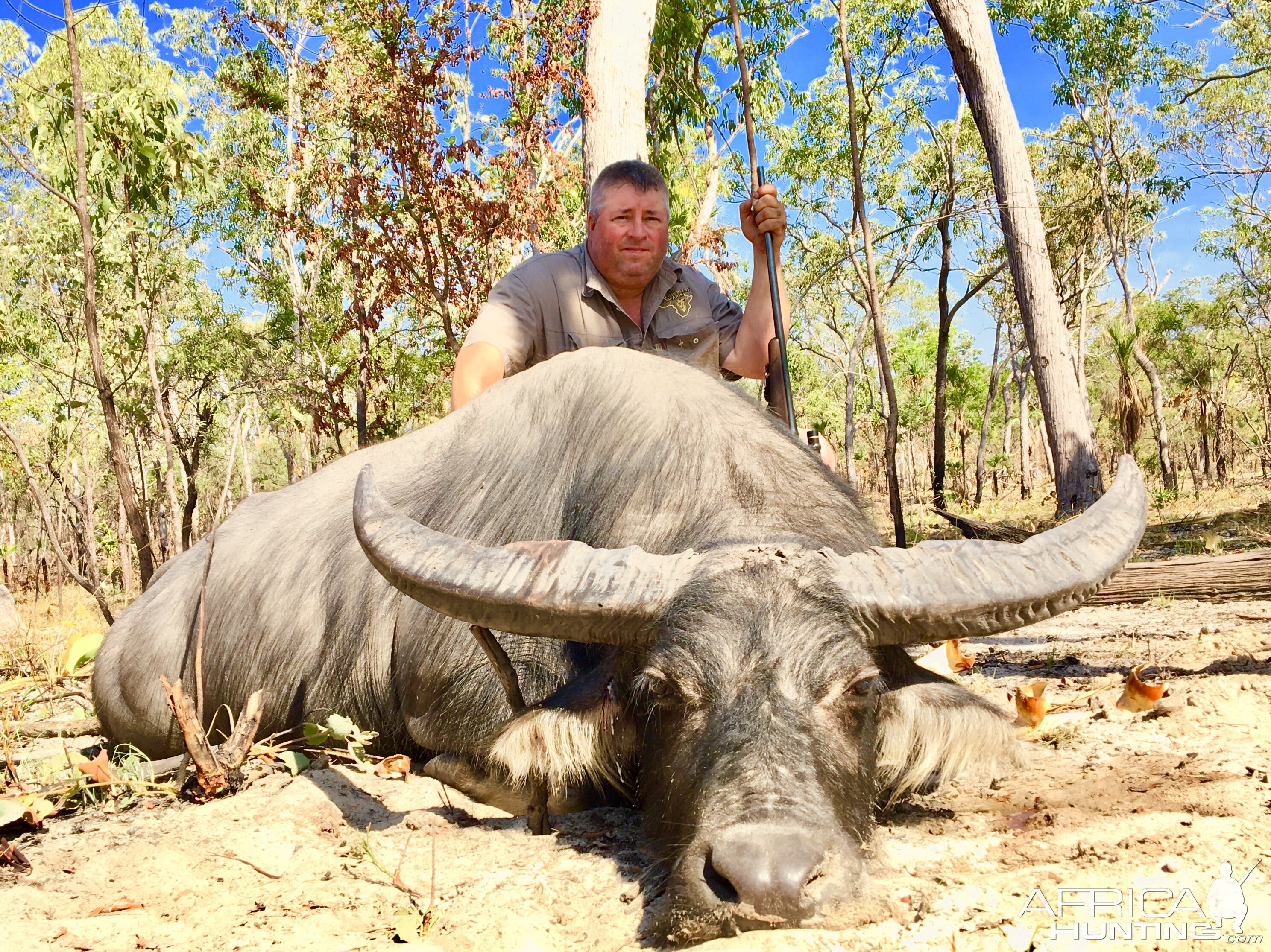 Hunt Asiatic Water Buffalo Australia