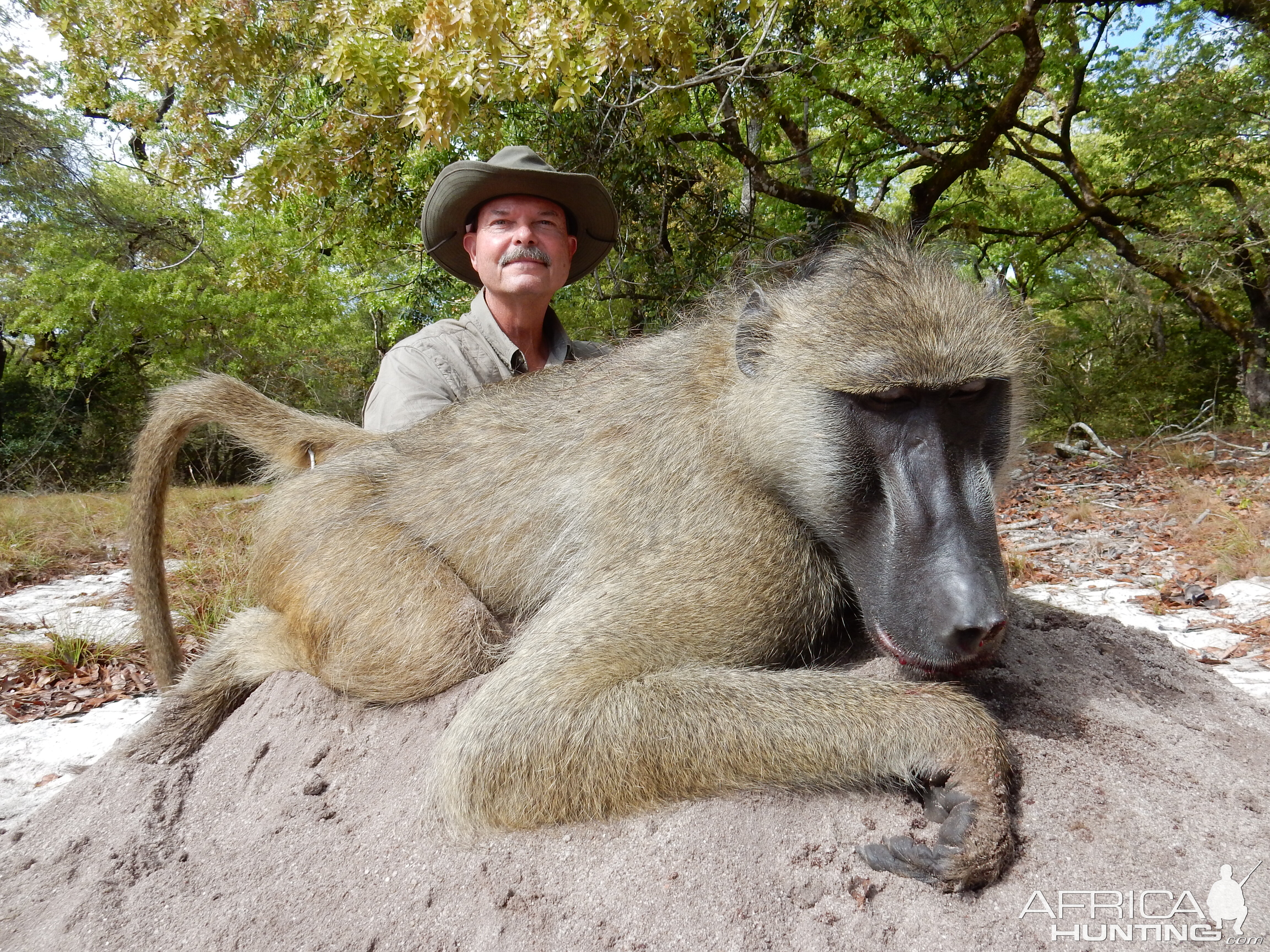 Hunt Baboon in Mozambique