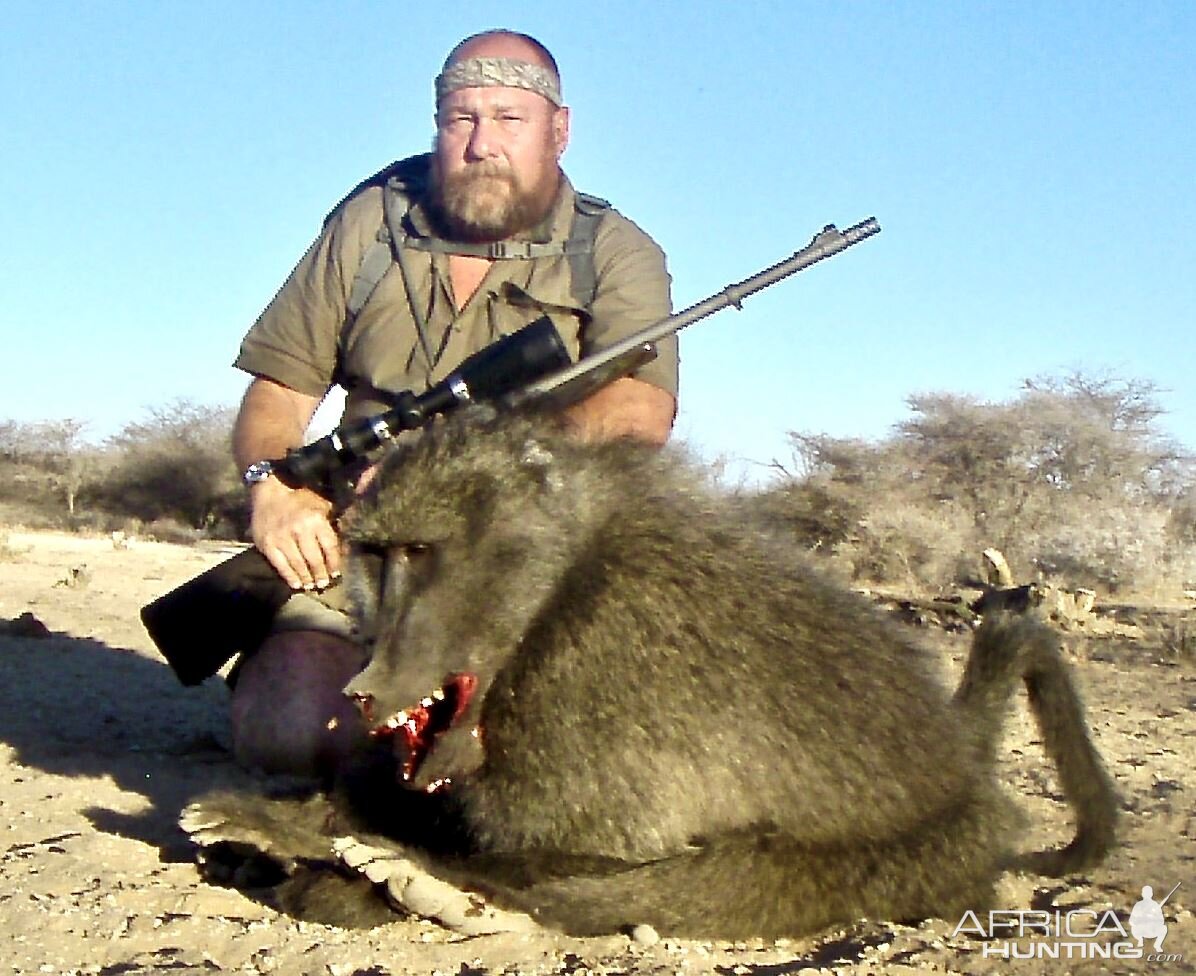 Hunt Baboon in Namibia