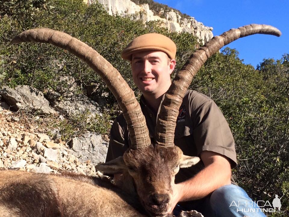 Hunt Beicete Ibex  Spain