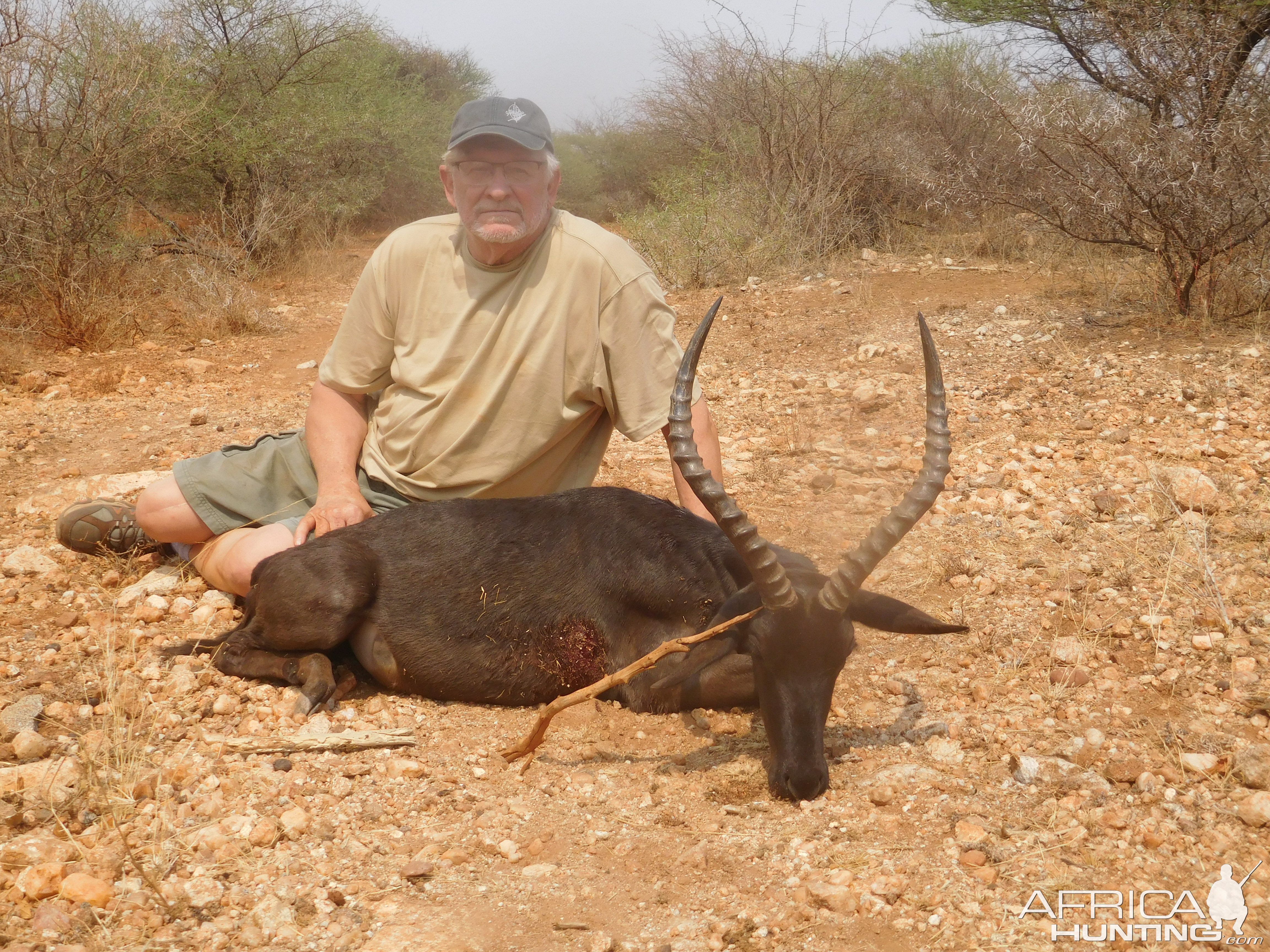 Hunt Black Impala in South Africa