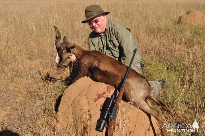 Hunt Black Springbok in South Africa