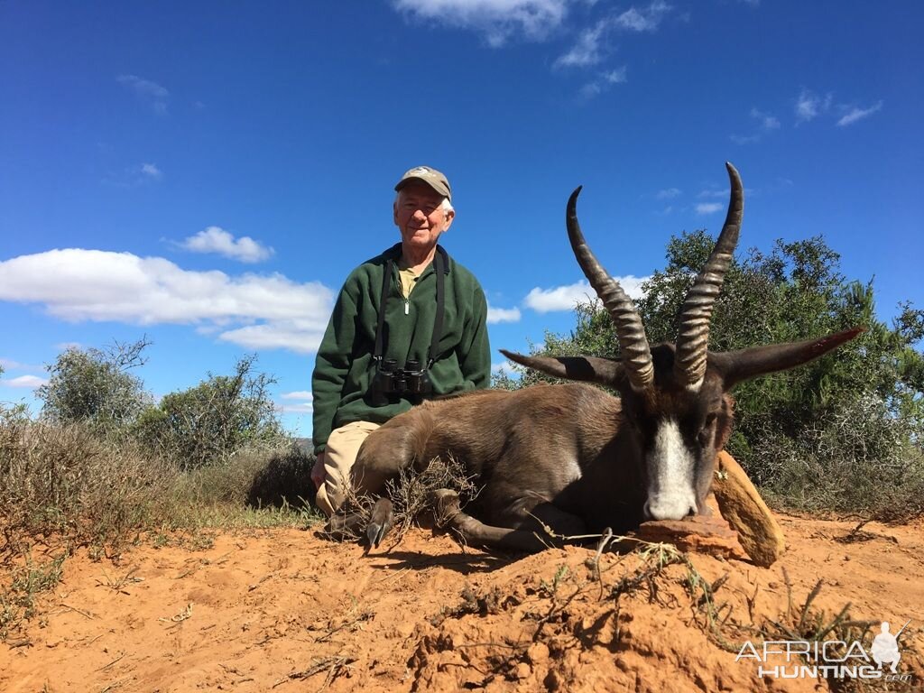 Hunt Black Springbok South Africa