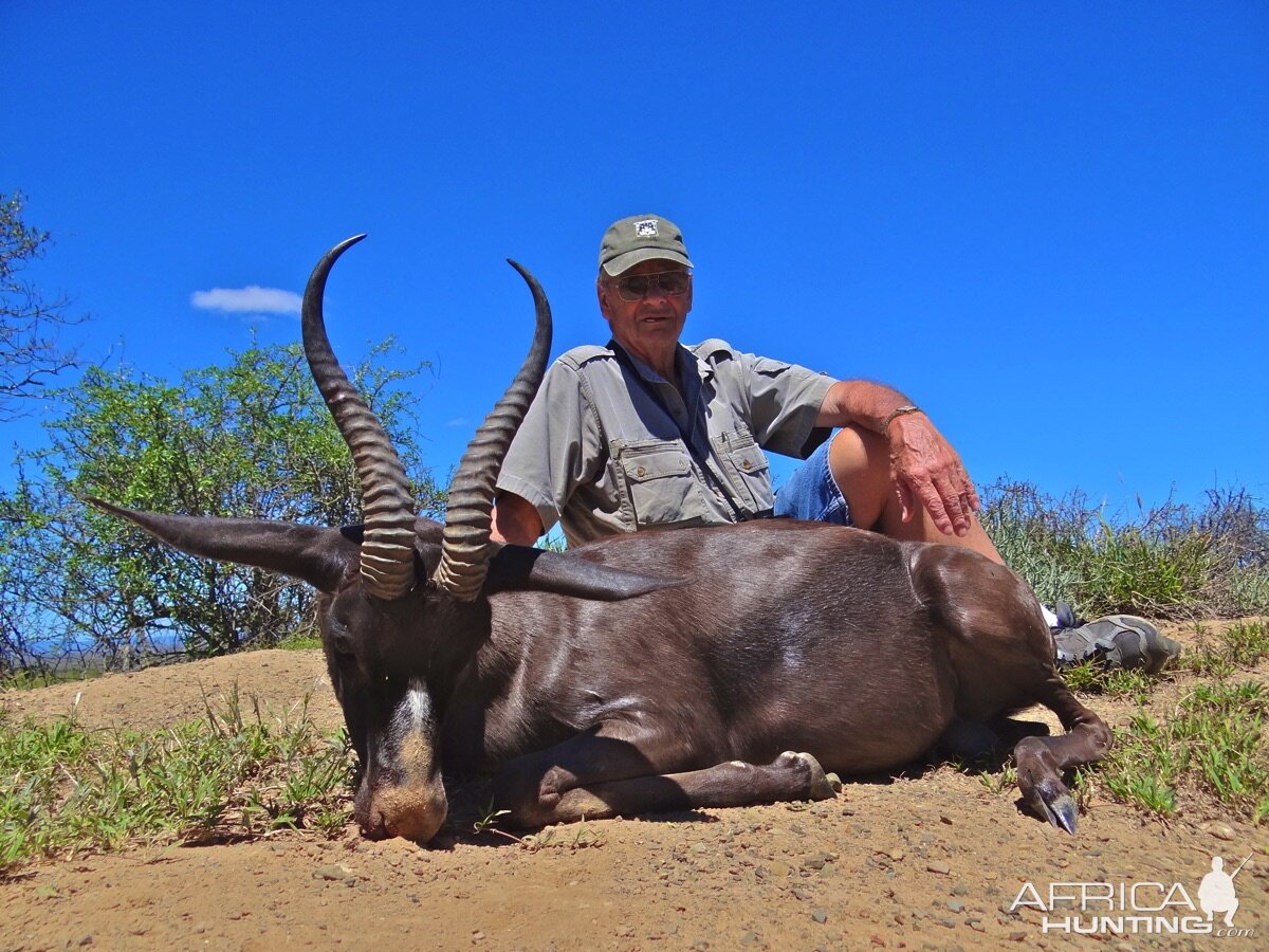 Hunt Black Springbok