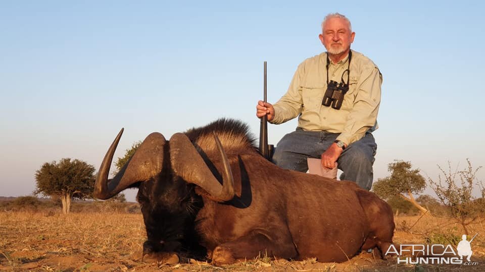 Hunt Black Wildebeest in South Africa