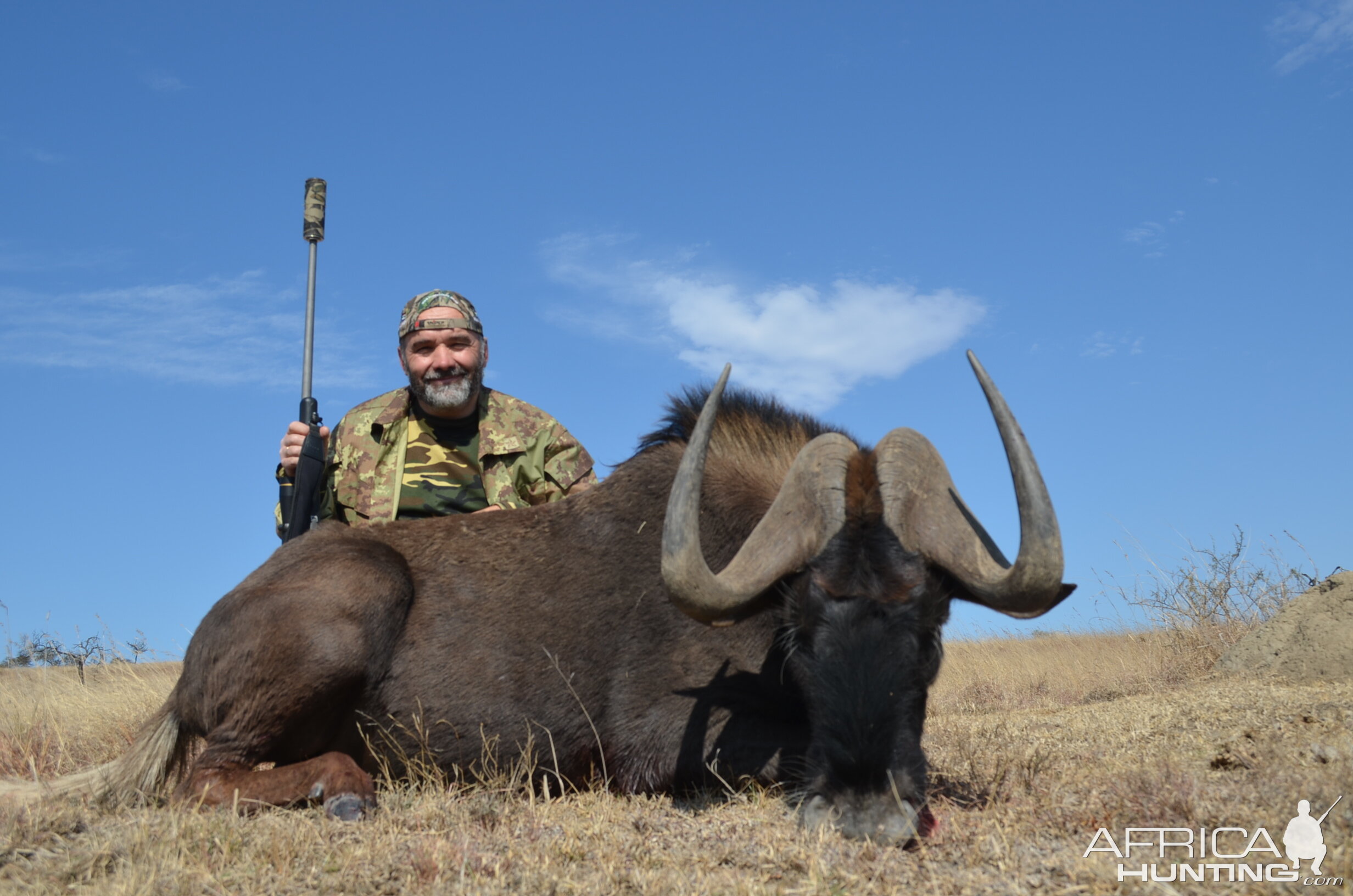 Hunt Black Wildebeest in South Africa