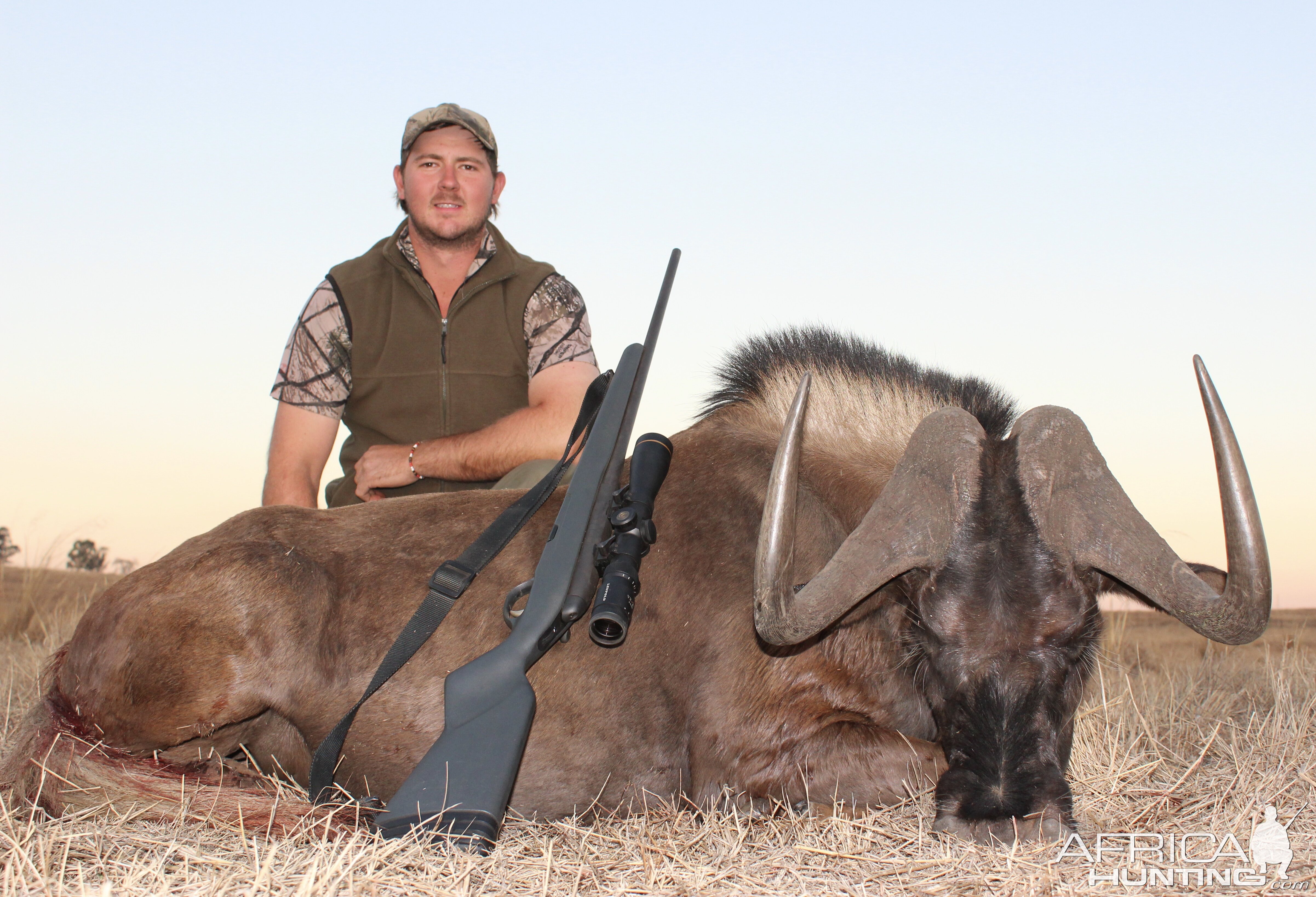 Hunt Black Wildebeest in South Africa