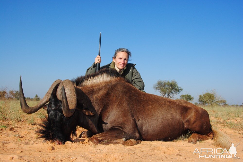 Hunt Black Wildebeest in South Africa