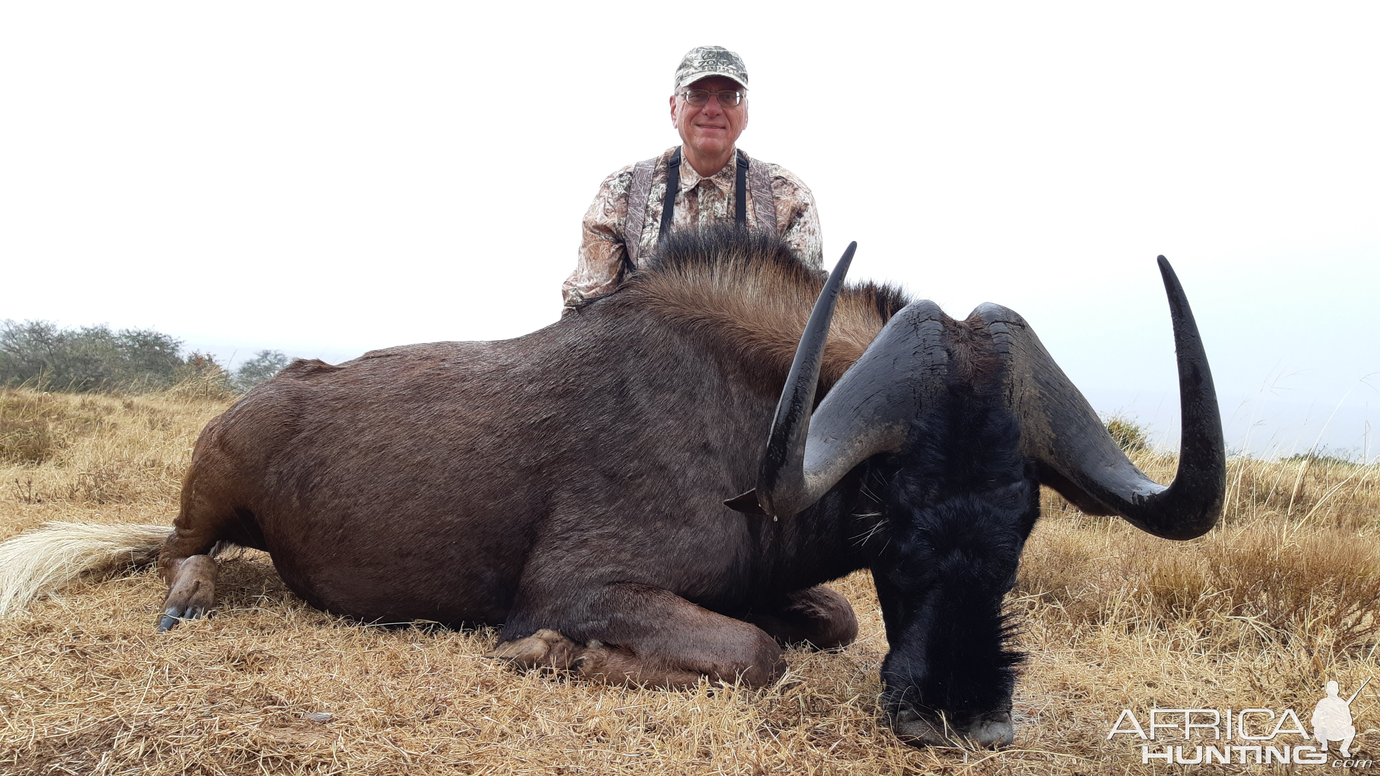 Hunt Black Wildebeest in South Africa