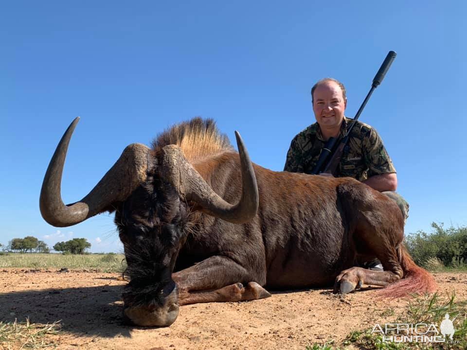 Hunt Black Wildebeest in South Africa