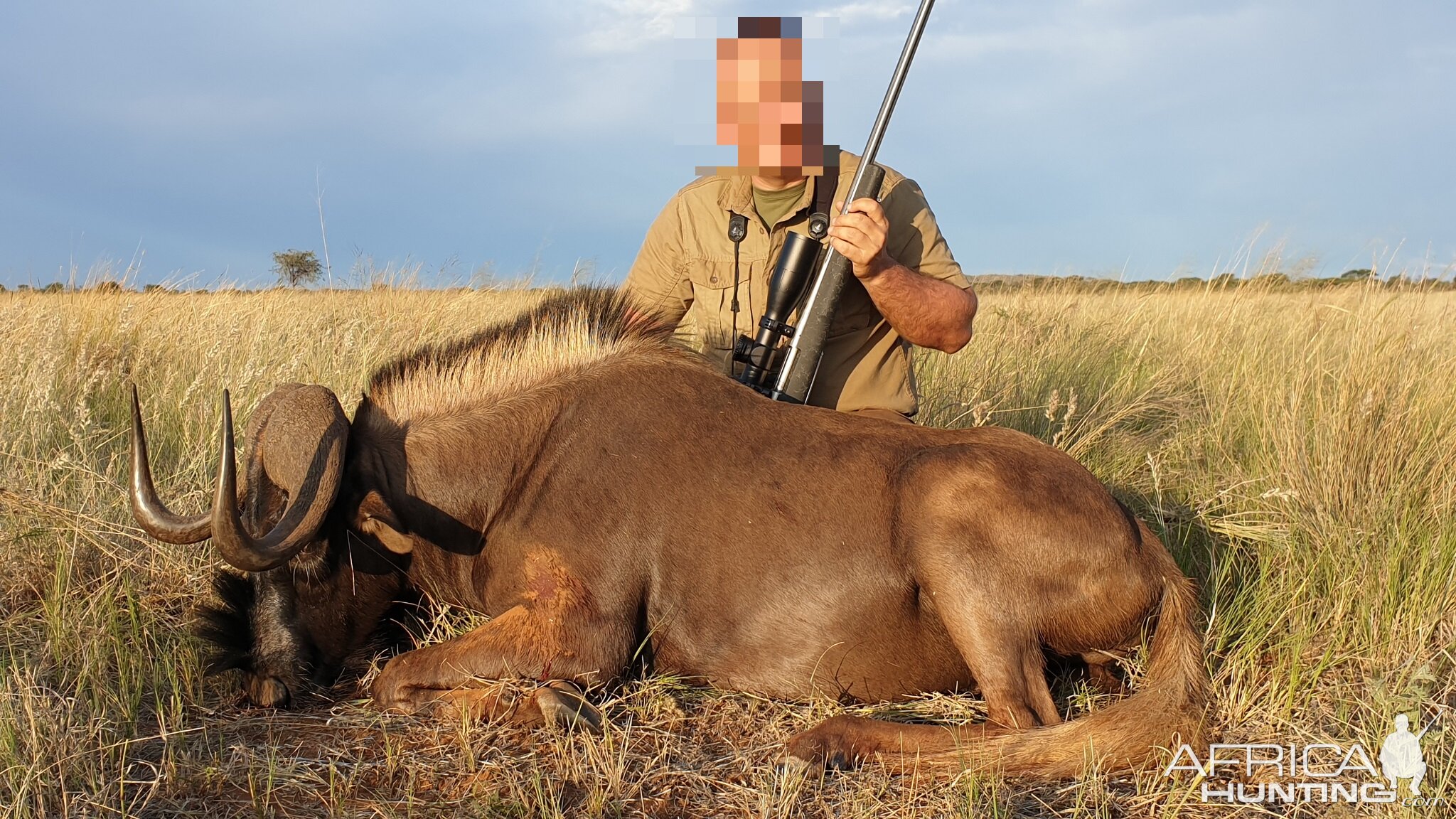 Hunt Black Wildebeest in South Africa