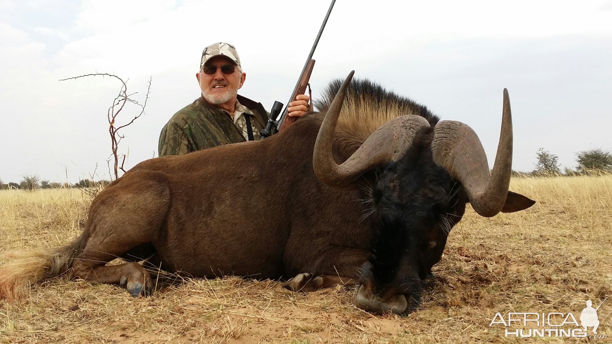 Hunt Black Wildebeest South Africa