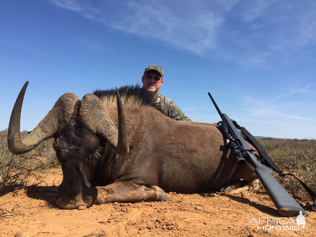 Hunt Black Wildebeest South Africa