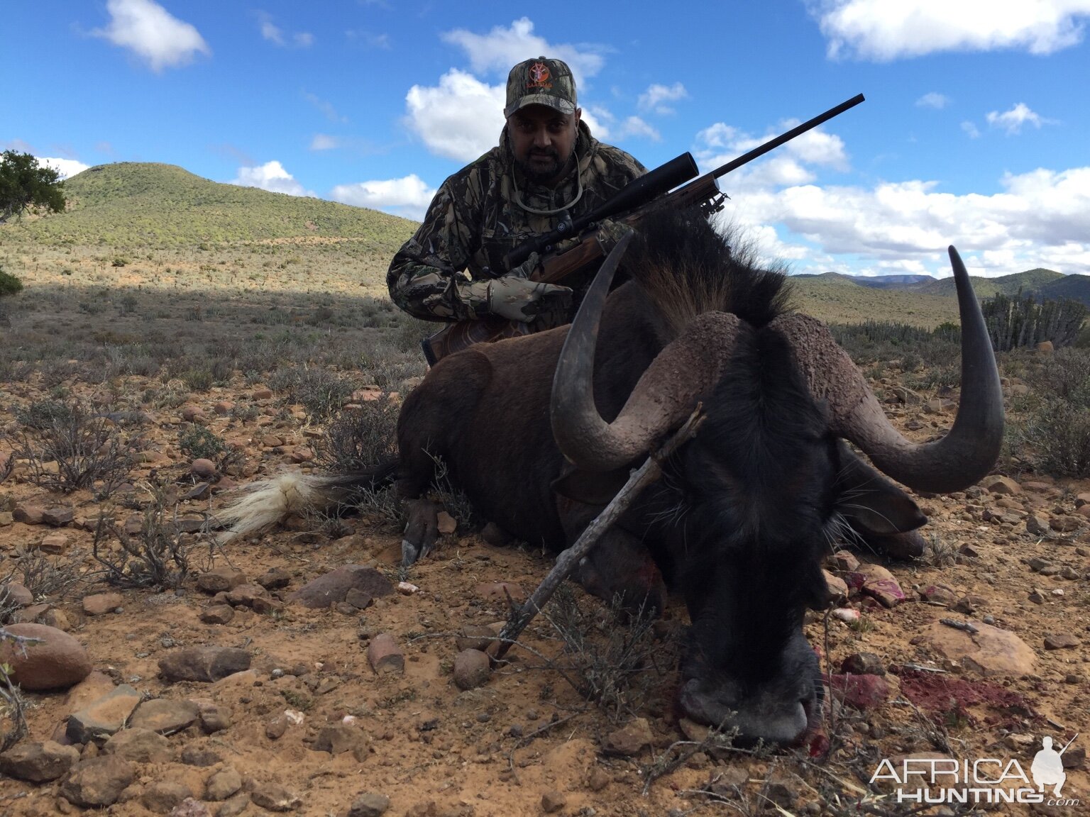 Hunt Black Wildebeest South Africa