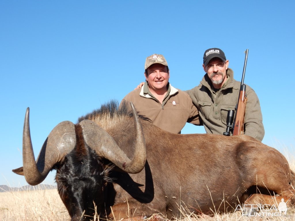 Hunt Black Wildebeest South Africa