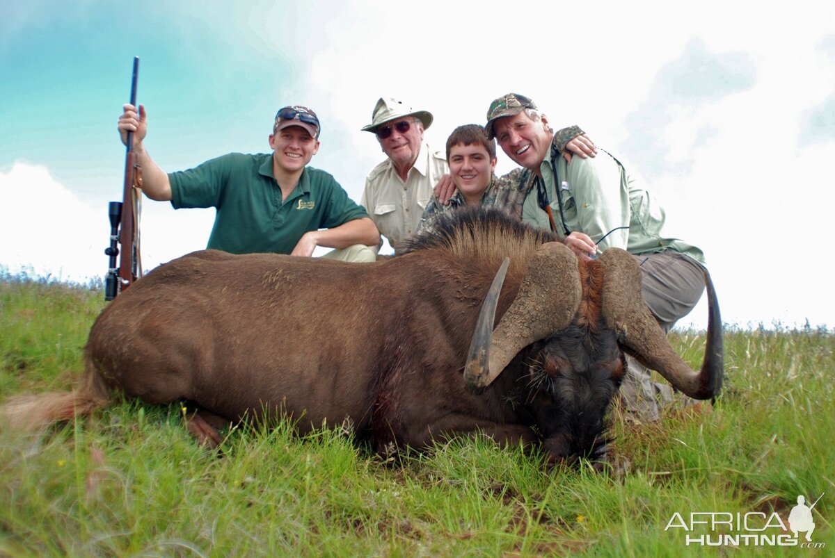 Hunt Black Wildebeest