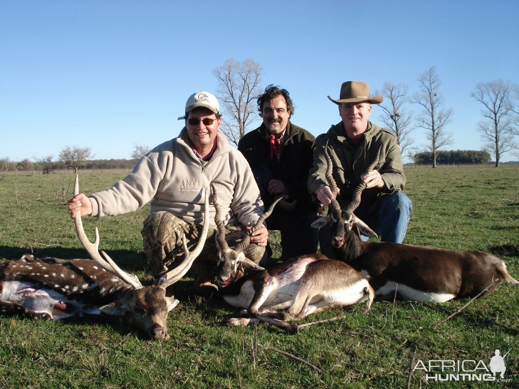 Hunt Blackbuck in Argentina