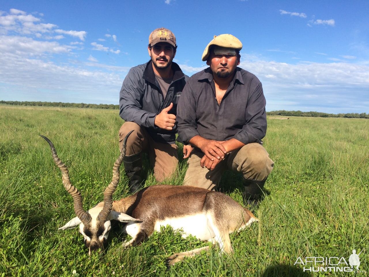 Hunt Blackbuck in Argentina