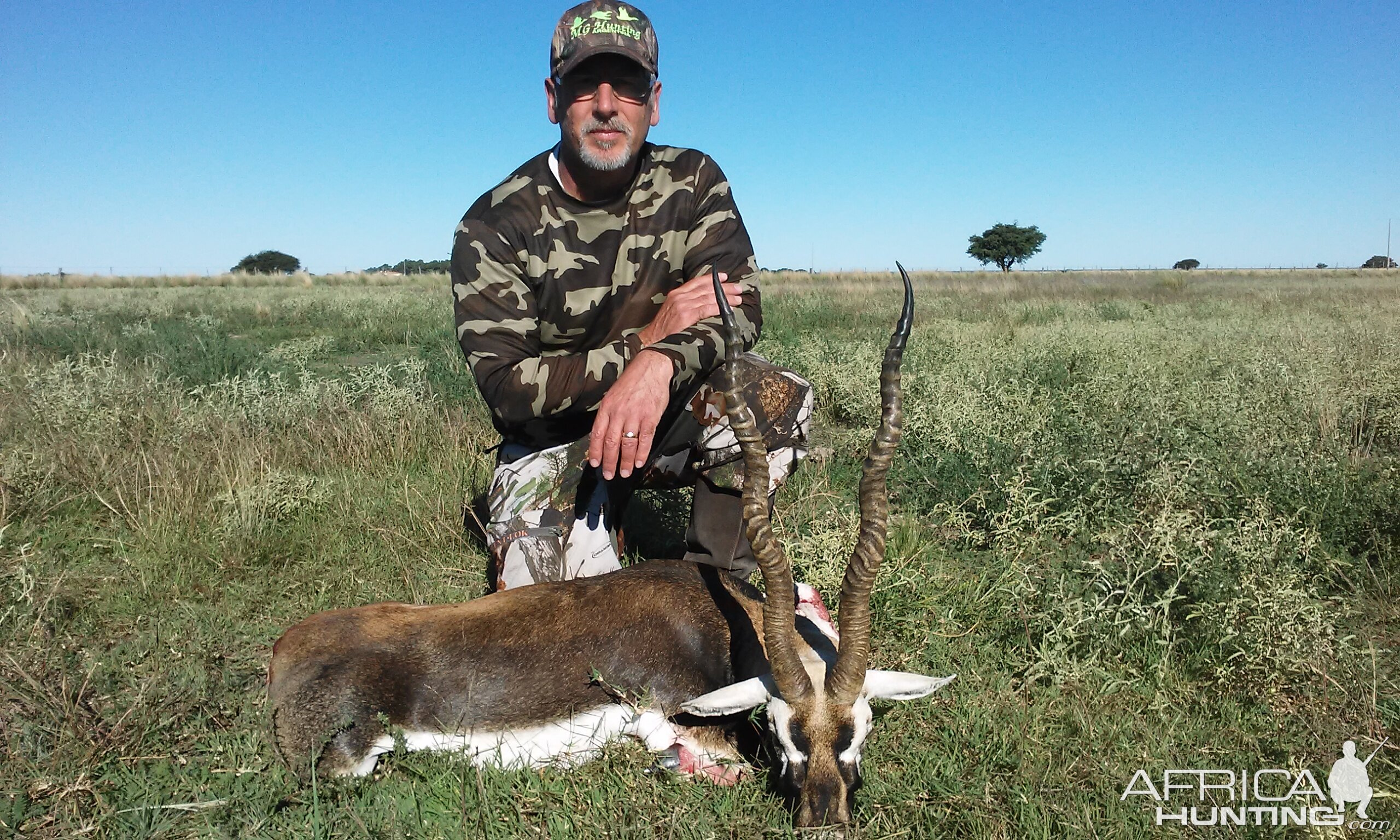 Hunt Blackbuck