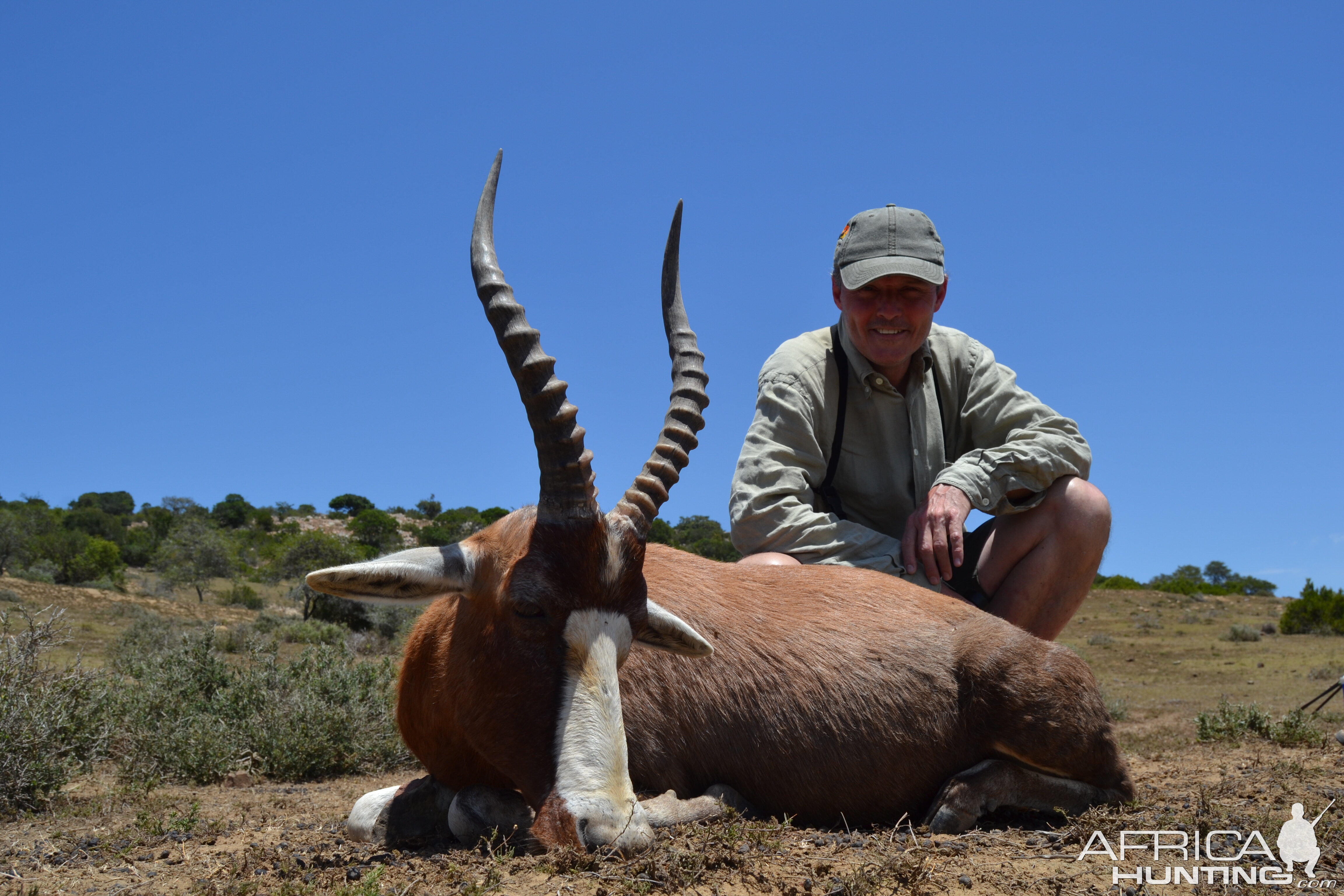 Hunt Blesbok in South Africa