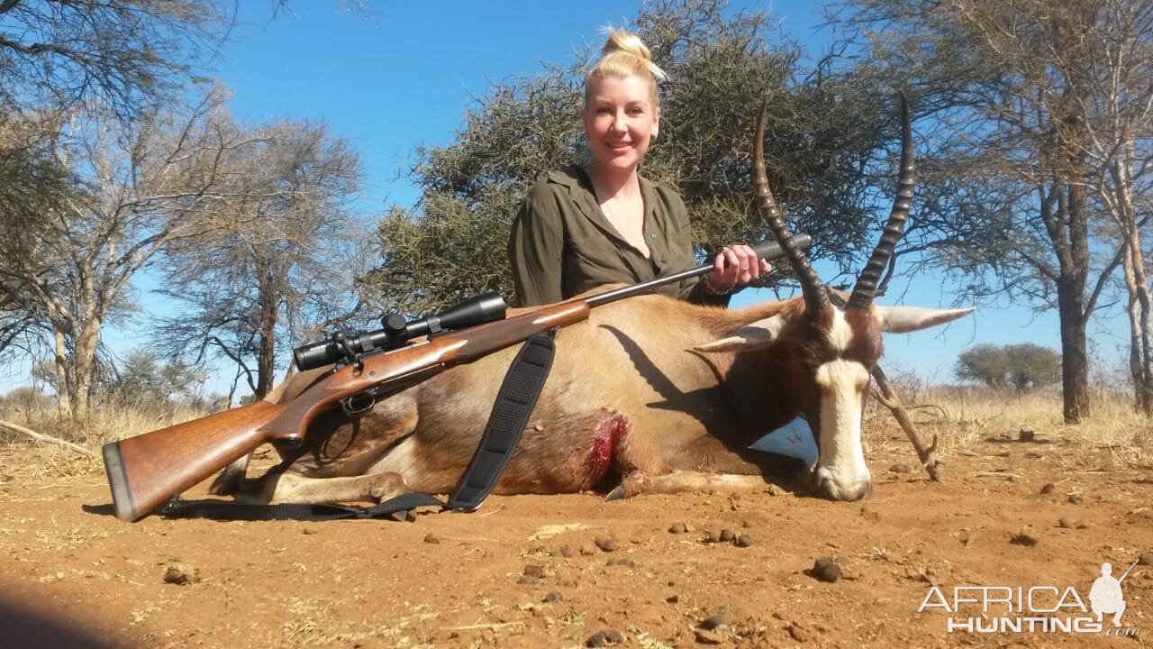 Hunt Blesbok in South Africa