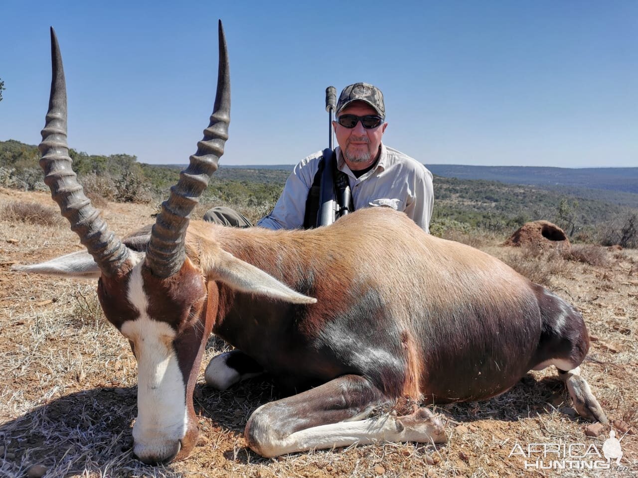 Hunt Blesbok in South Africa