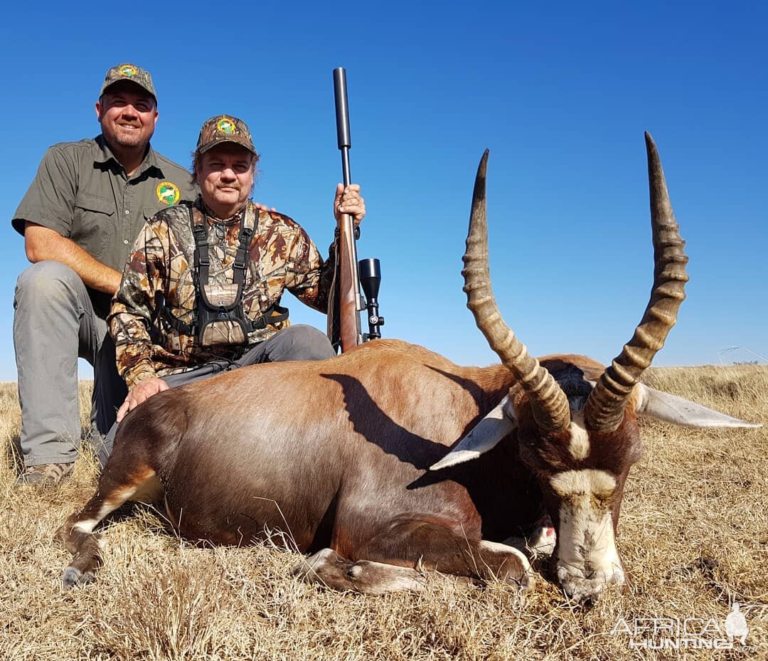 Hunt Blesbok South Africa