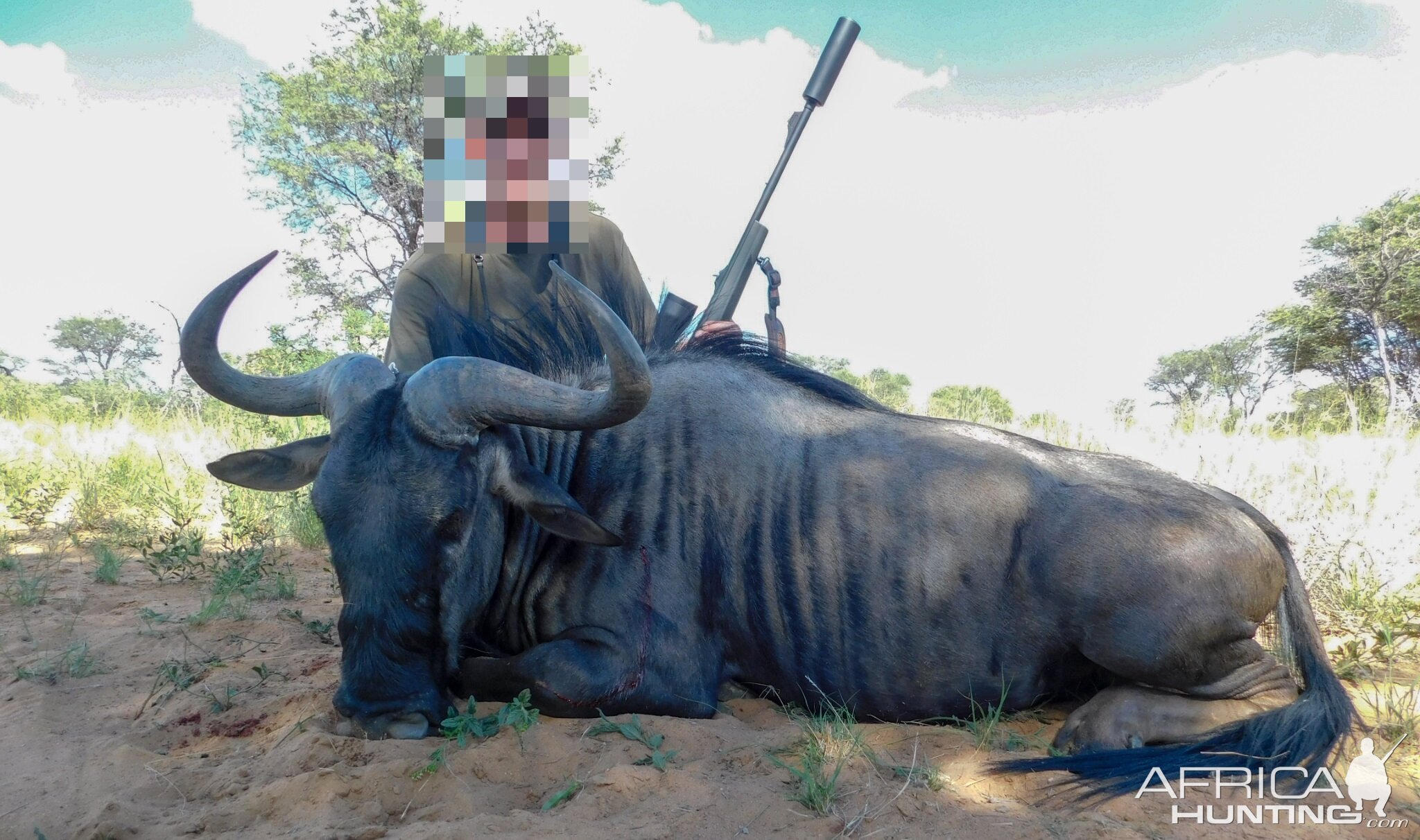 Hunt Blue Wildebeest in Namibia