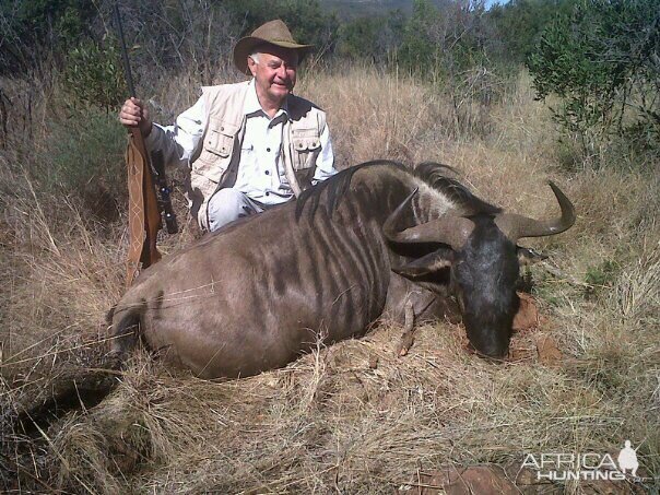 Hunt Blue Wildebeest in South Africa