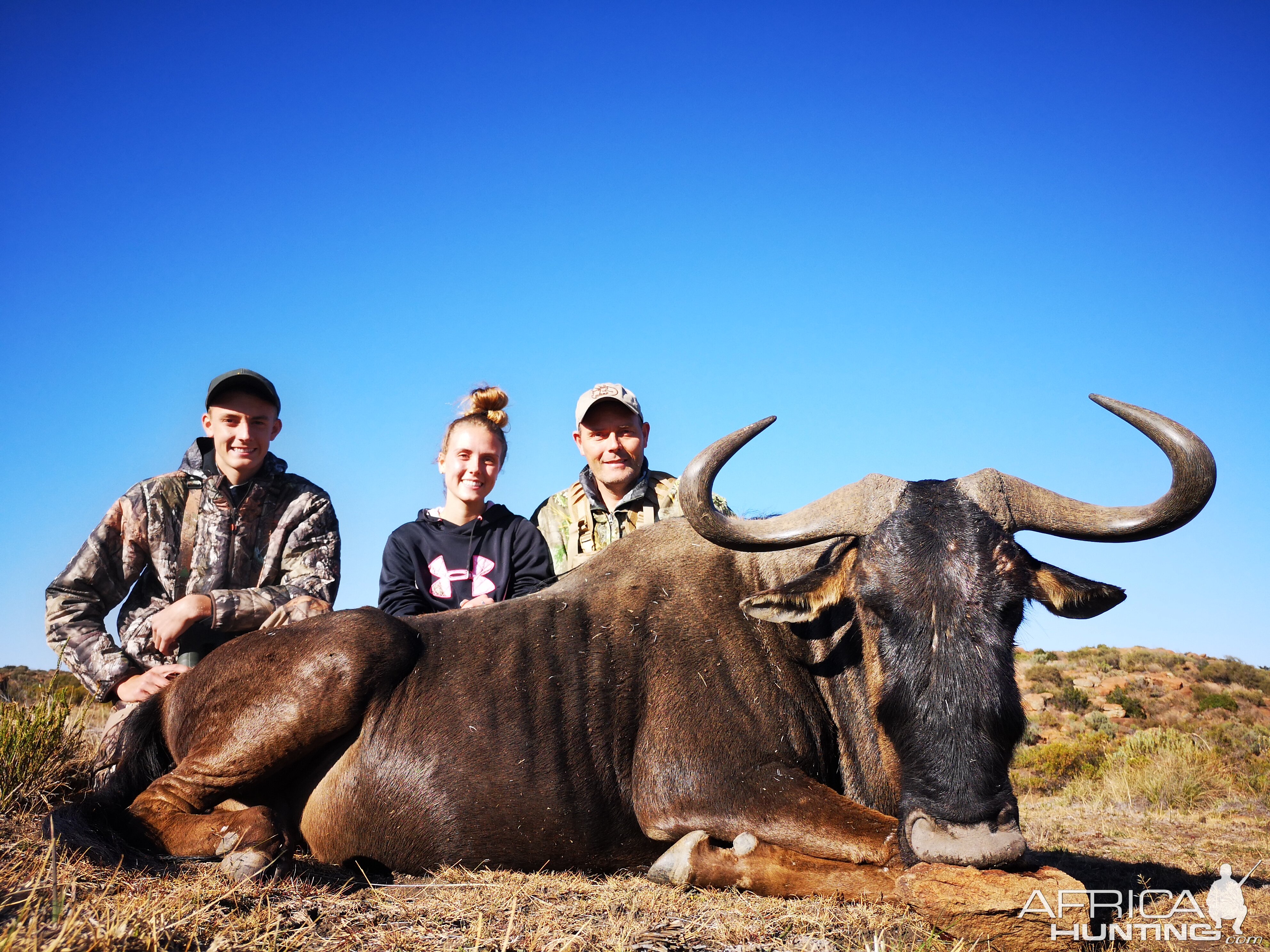 Hunt Blue Wildebeest in South Africa