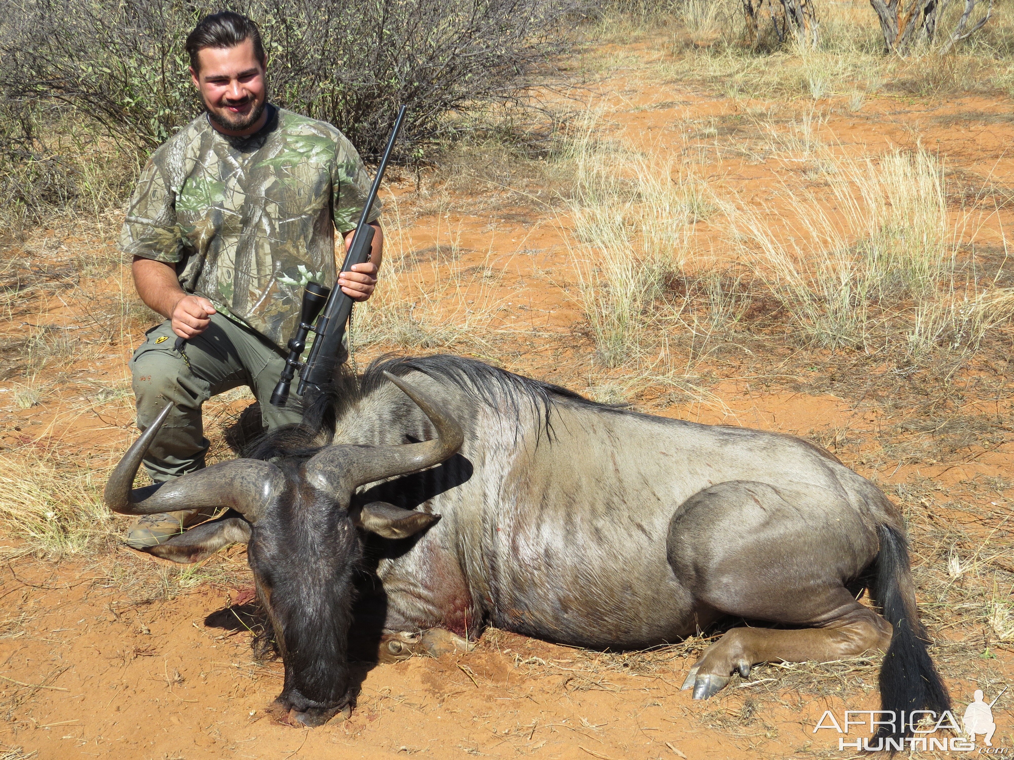 Hunt Blue Wildebeest South Africa