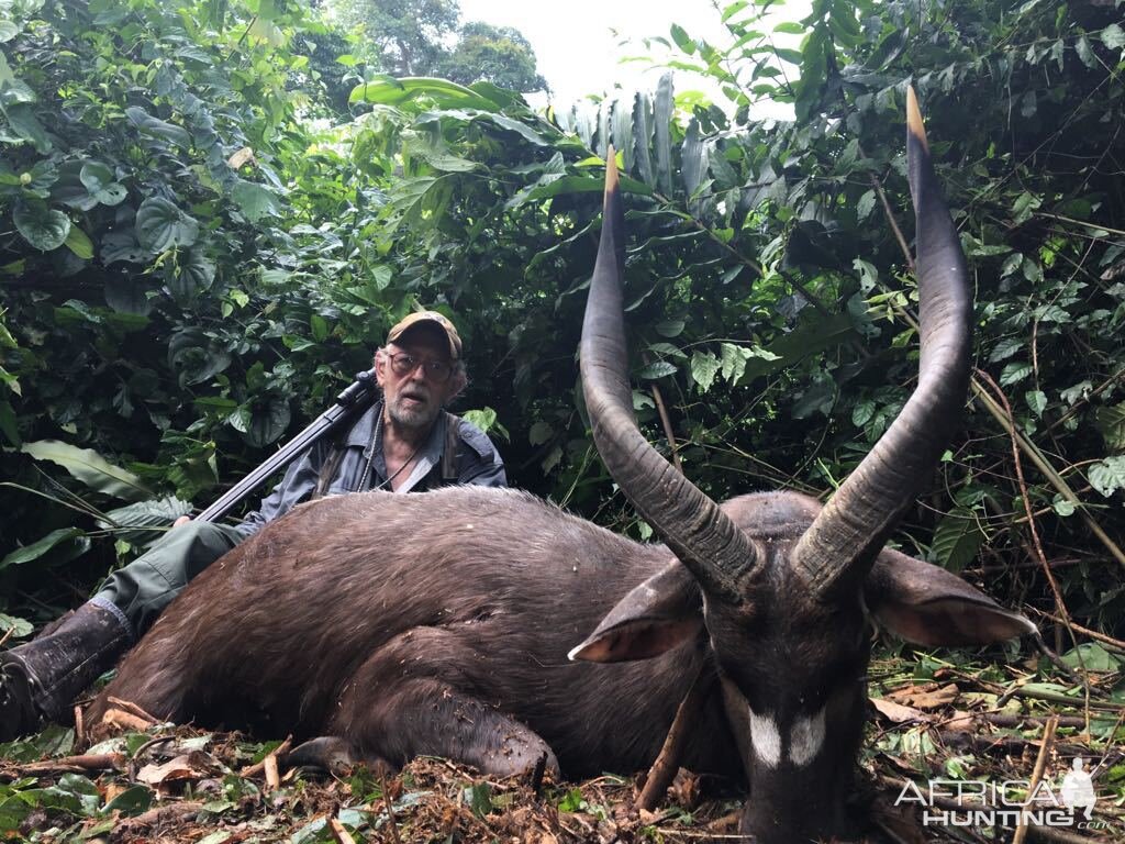 Hunt Bongo in Cameroon