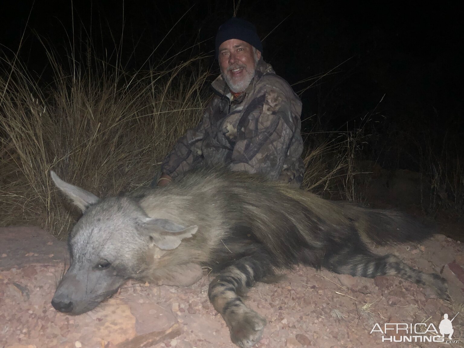 Hunt Brown Hyena South Africa