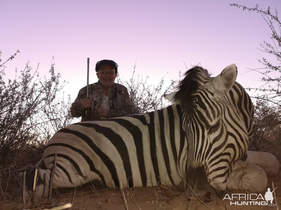 Hunt Burchell's Plain Zebra in Botswana