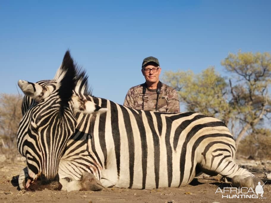 Hunt Burchell's Plain Zebra in Botswana