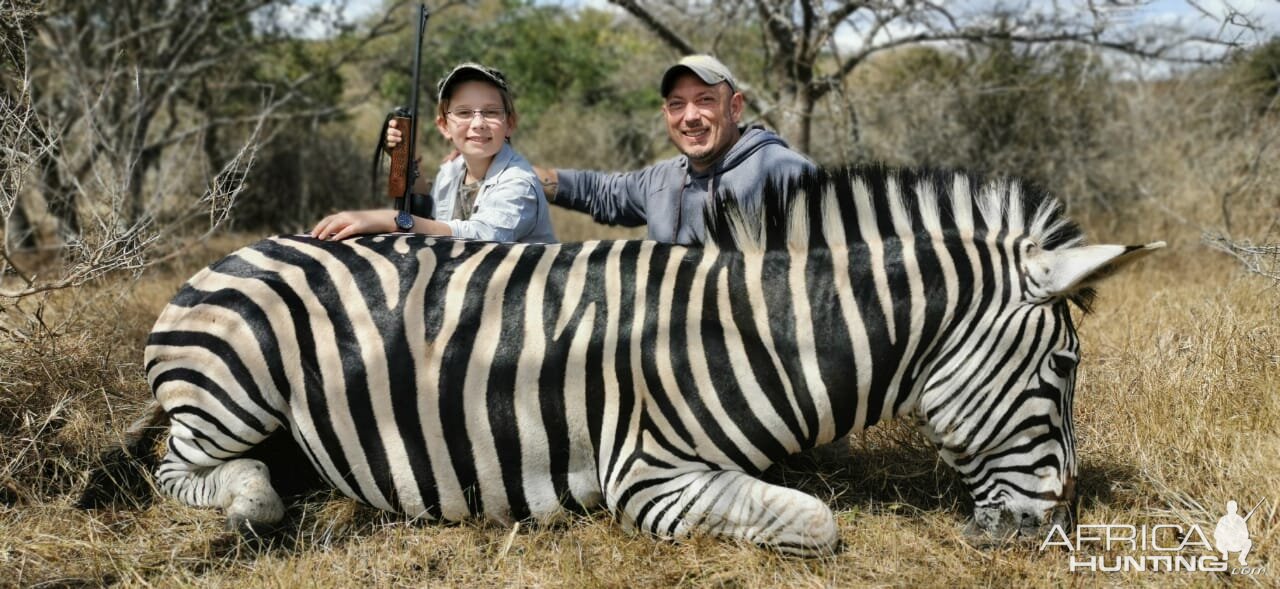 Hunt Burchell's Plain Zebra in South Africa