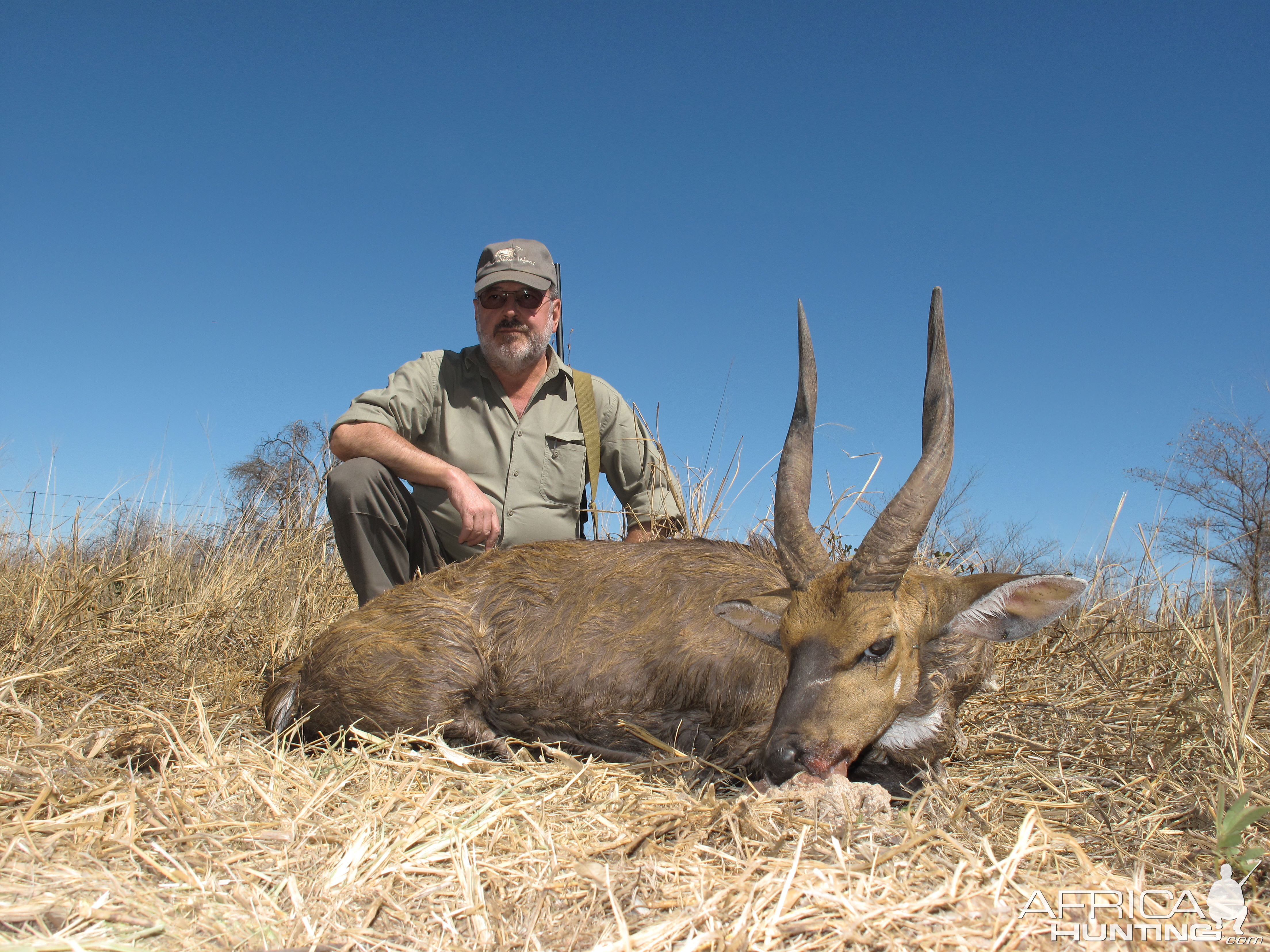 Hunt Bushbuck in South Africa