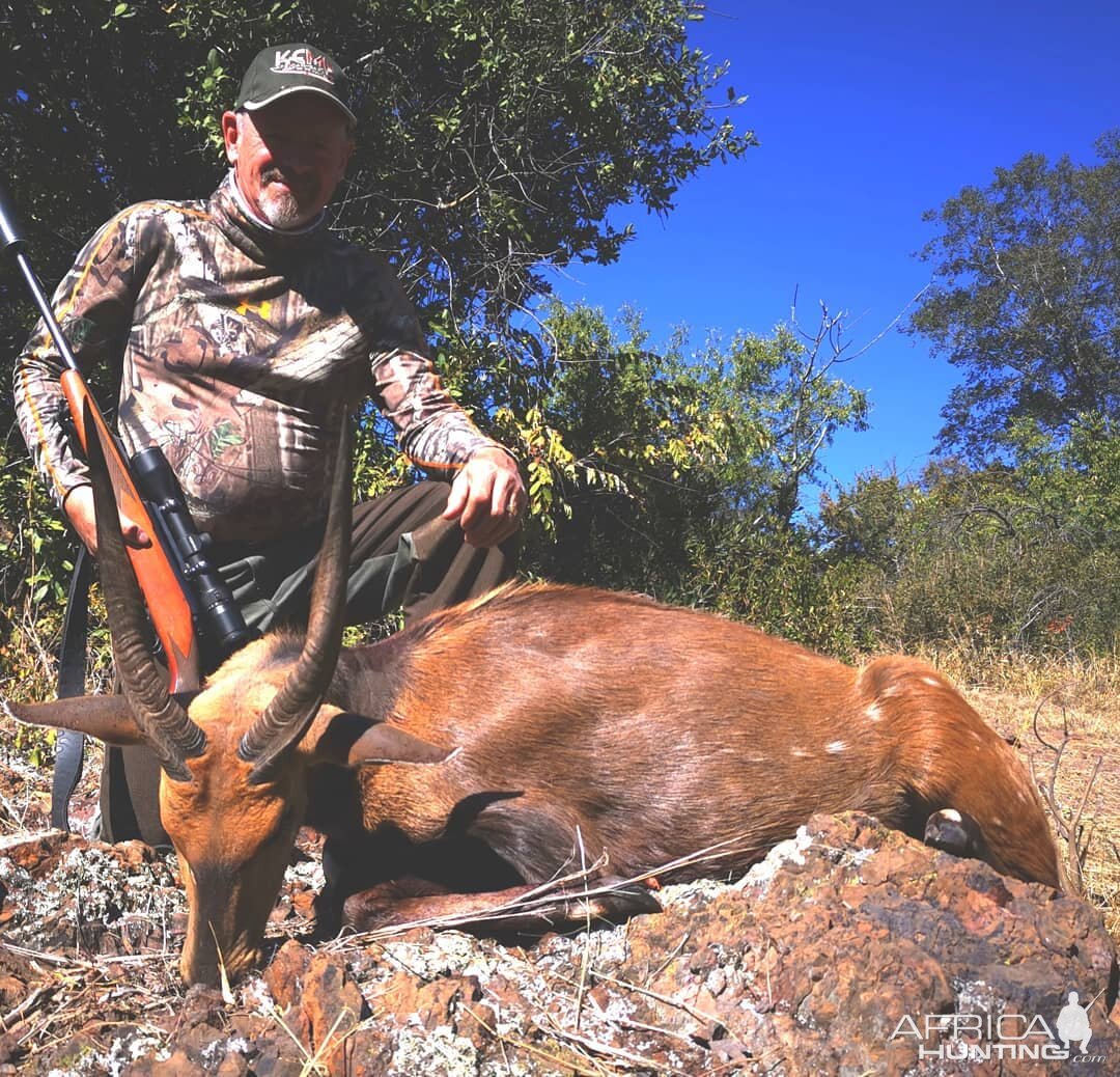 Hunt Bushbuck in South Africa